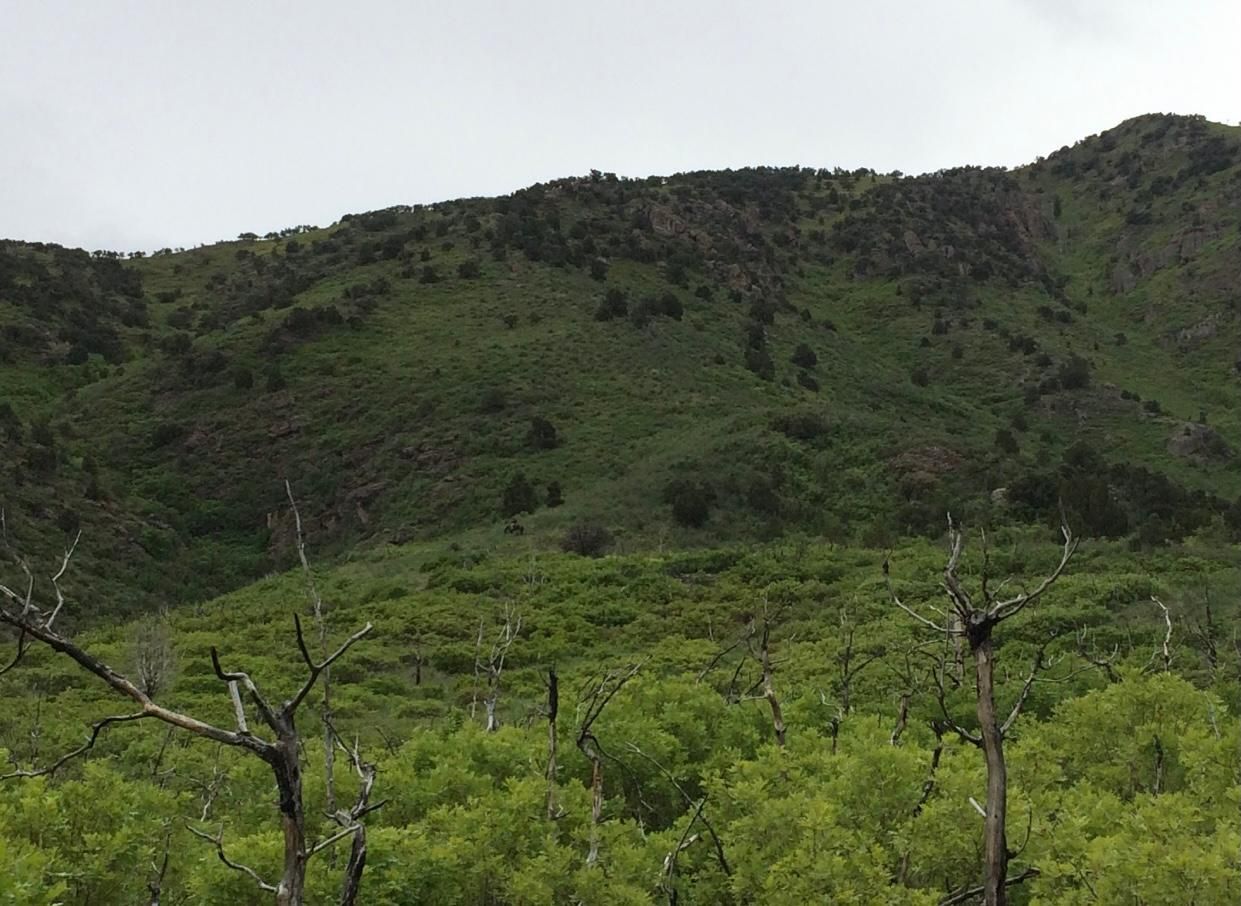 320 acres in Millard County, Utah