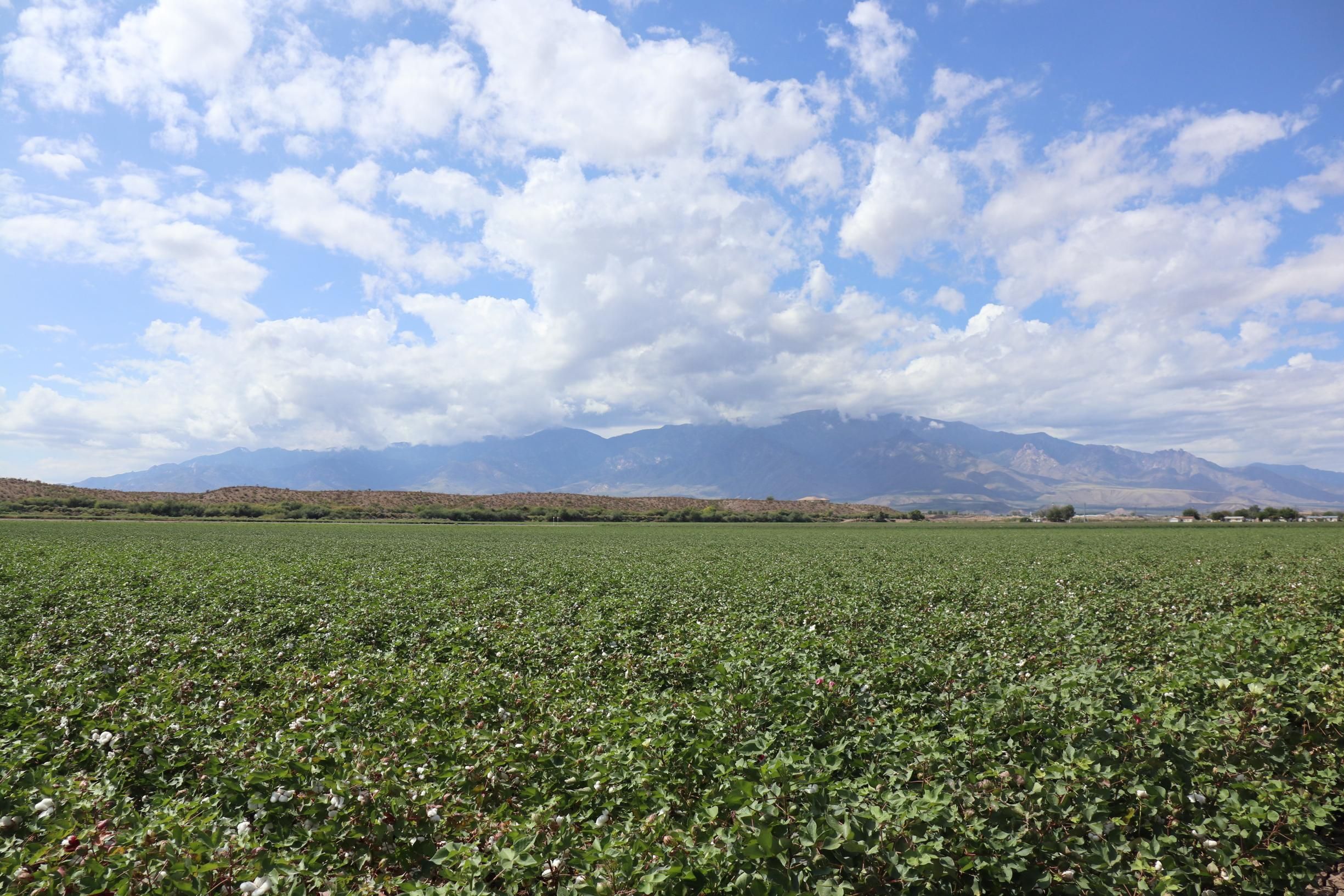 204.8 acres in Graham County, Arizona