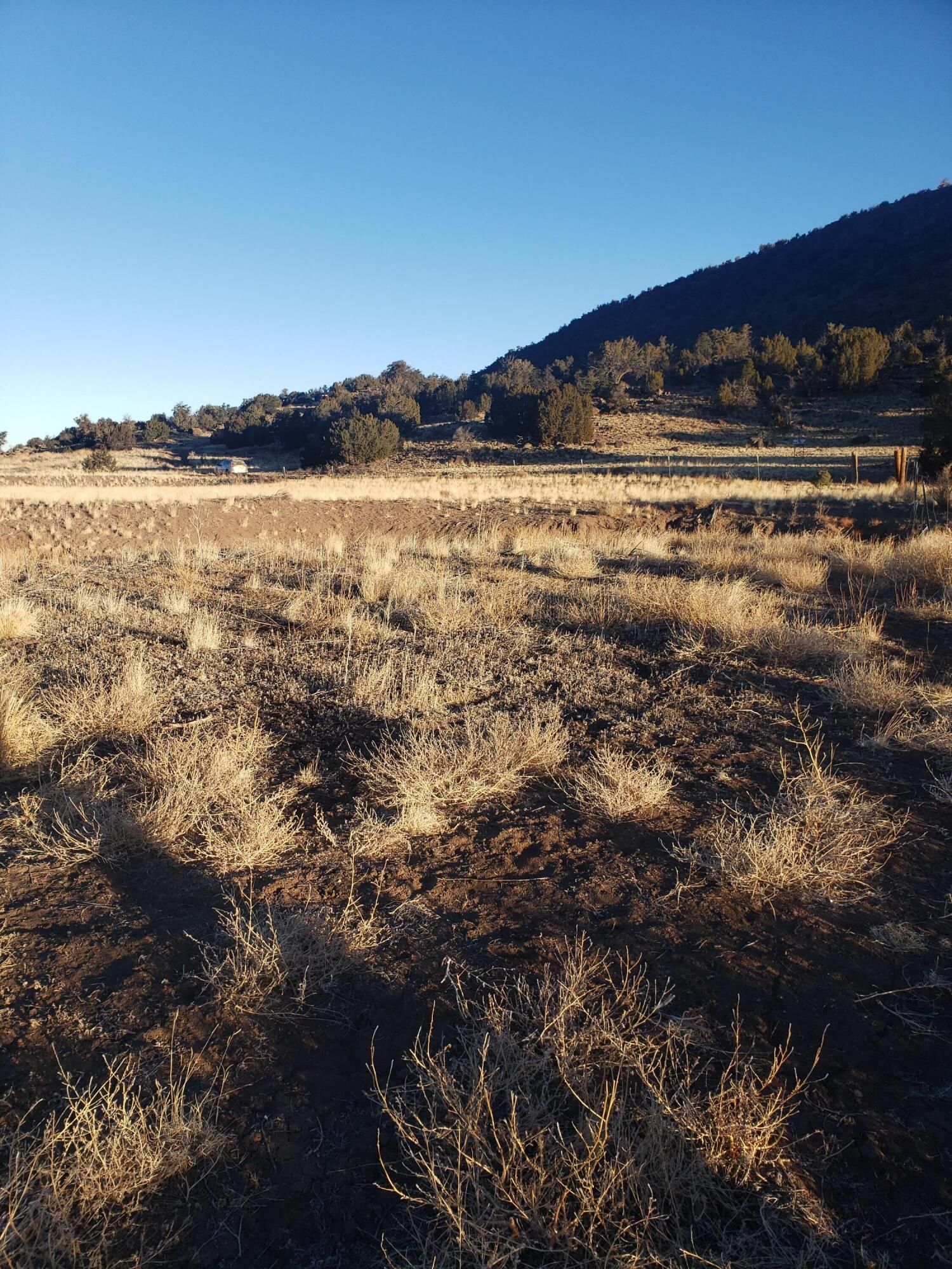 40 acres in Catron County, New Mexico