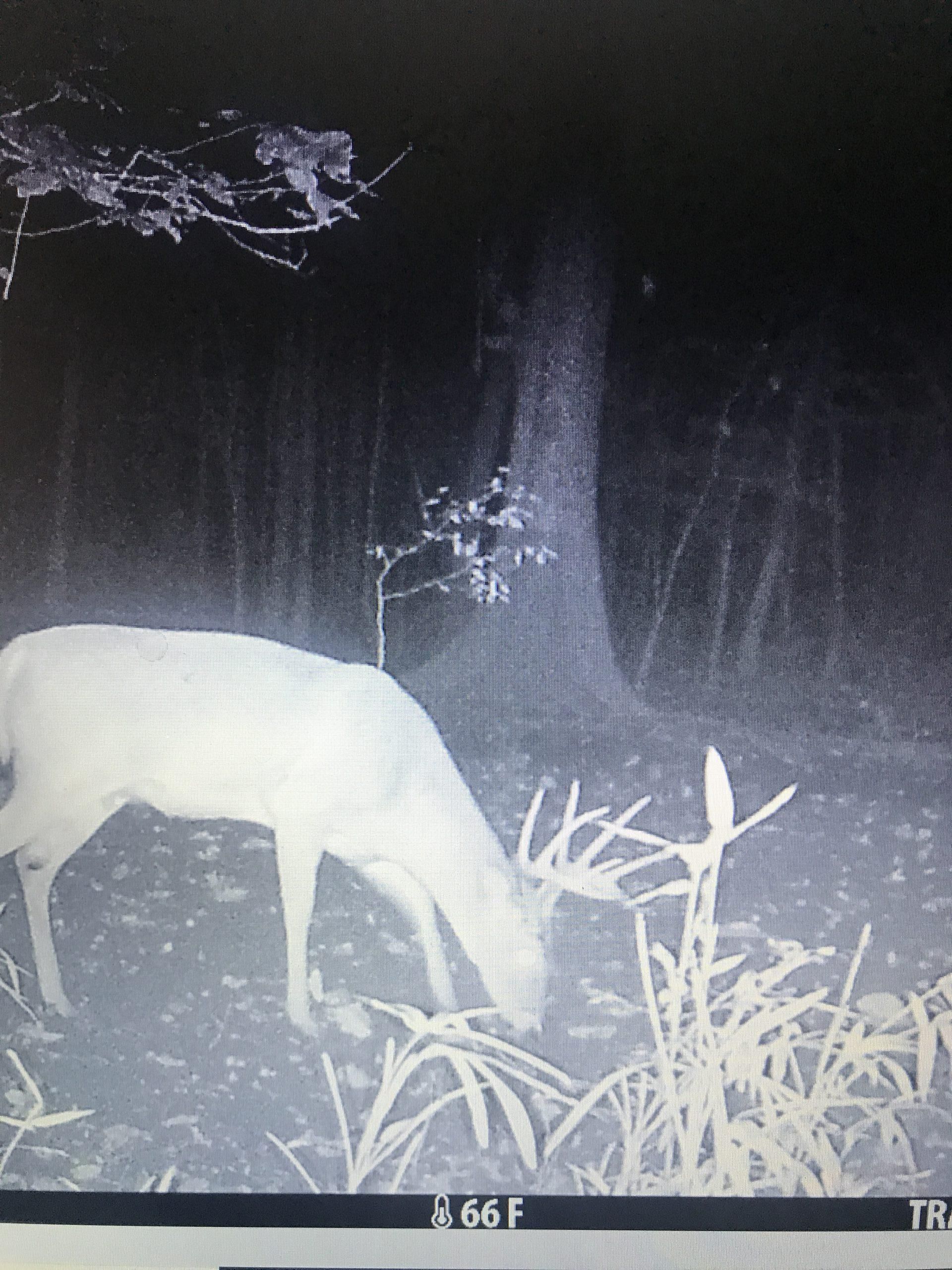 483 acres in Crawford County,