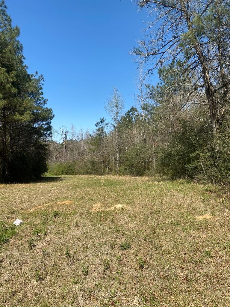 13 acres in Pike County, Mississippi