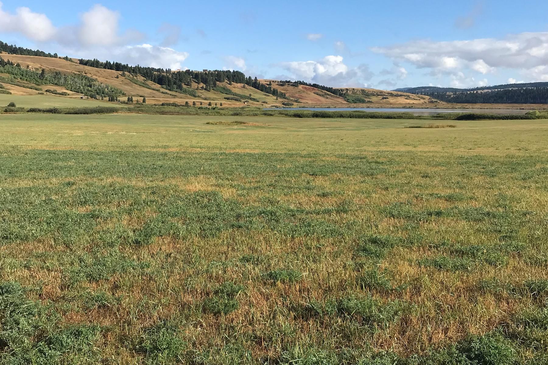 52 acres in Fergus County, Montana