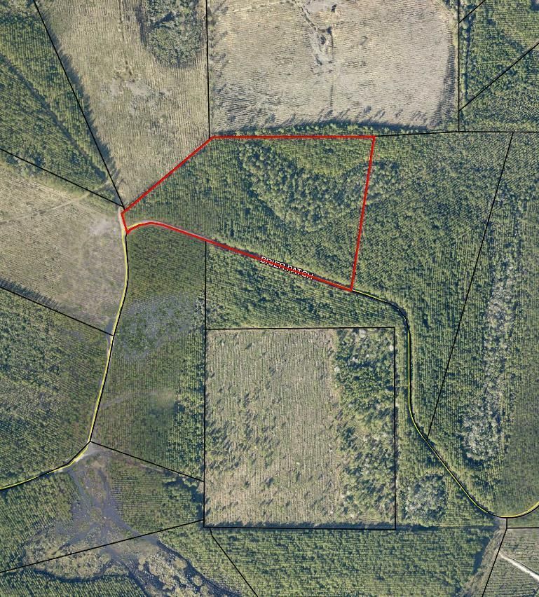 20.01 acres in Ware County,