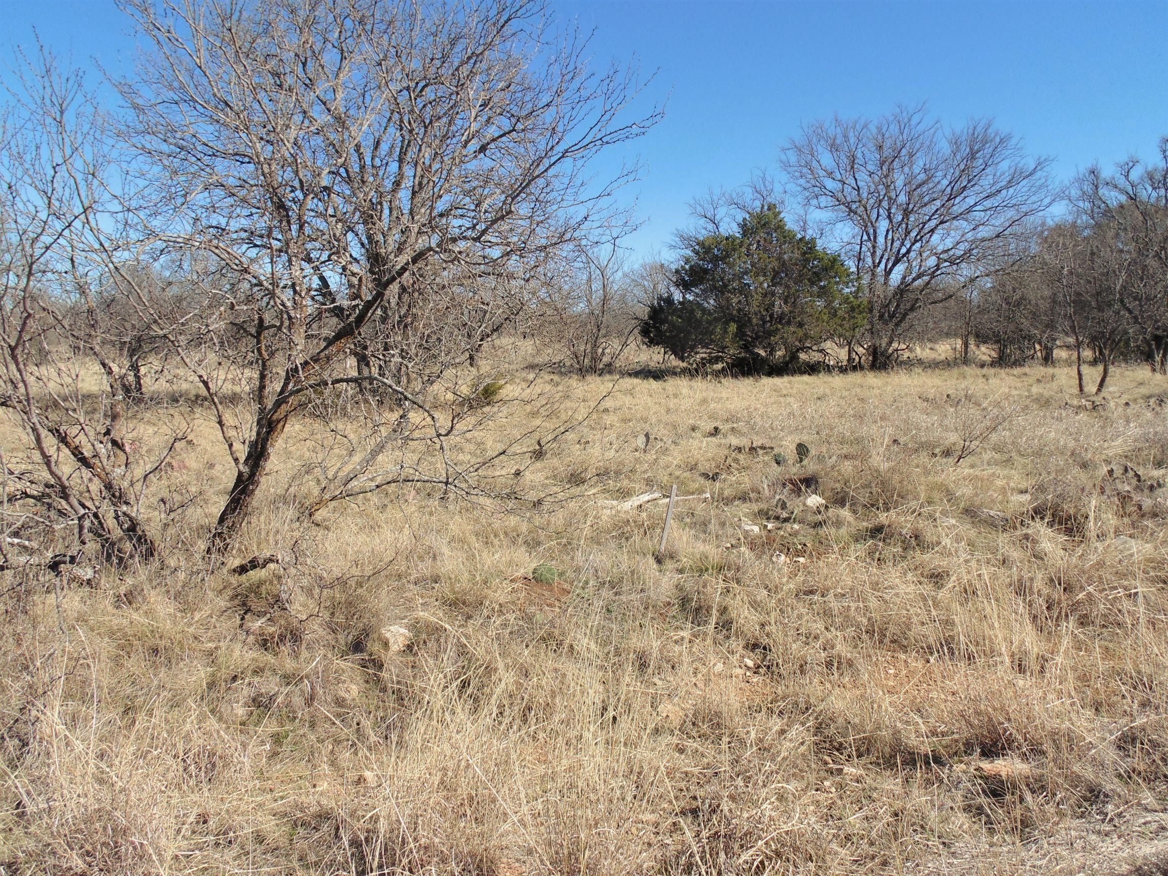 0.32 acres in Brown County, Texas