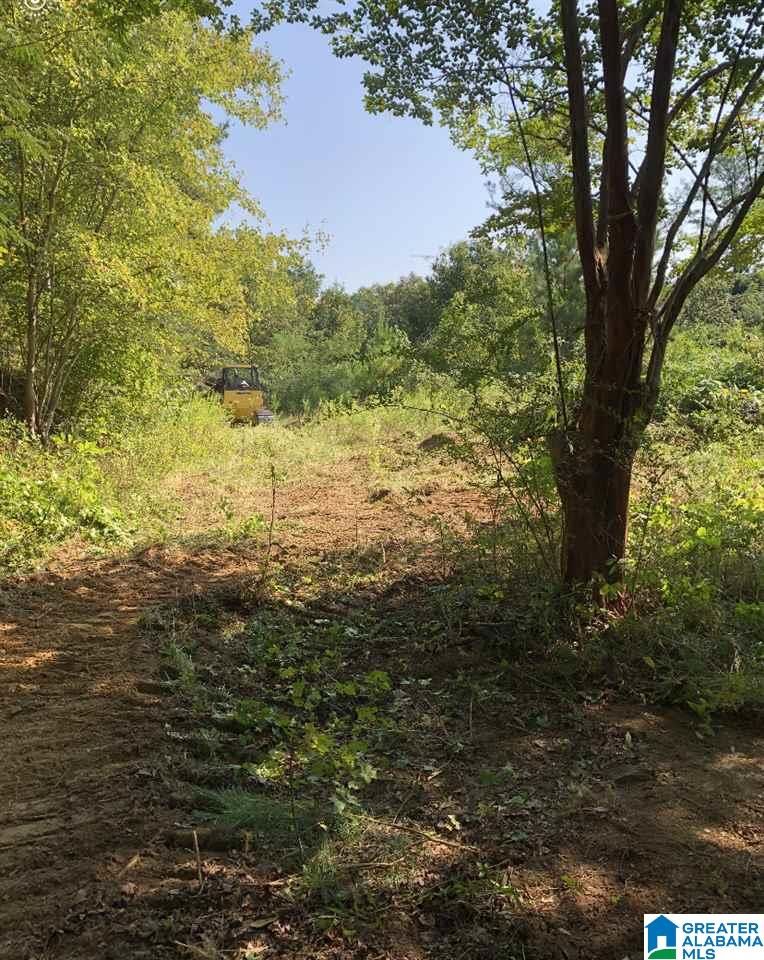 13 acres in Calhoun County, Alabama
