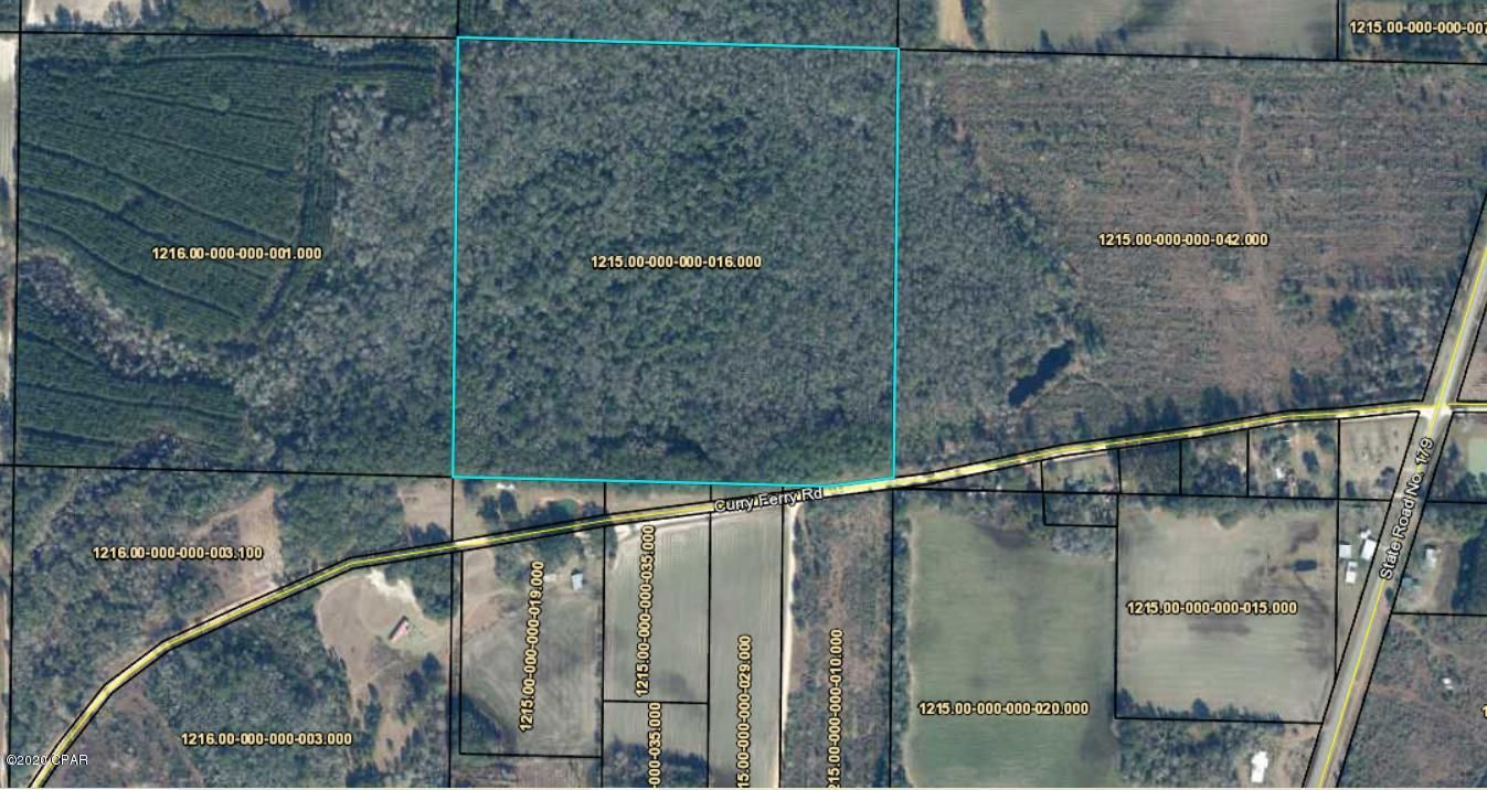 40 acres in Holmes County, Florida