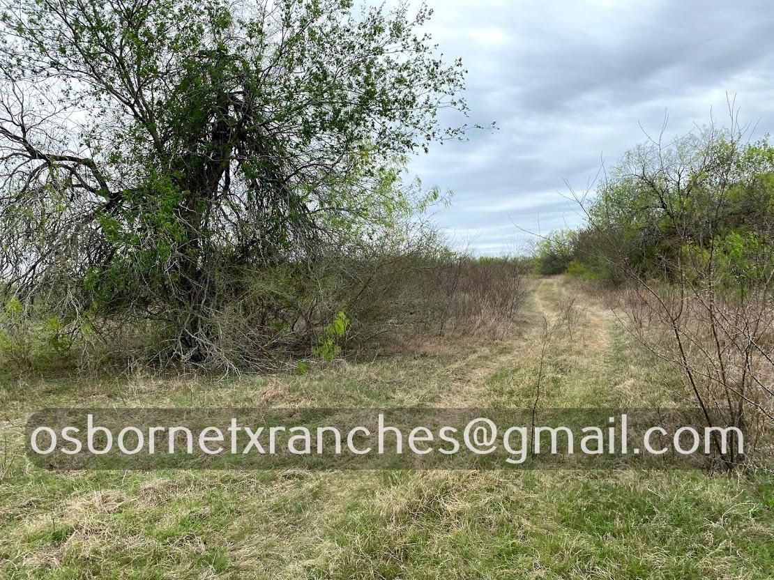 80.5 acres in Duval County, Texas