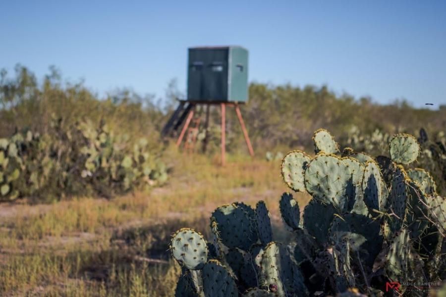 215 acres in La Salle County, Texas