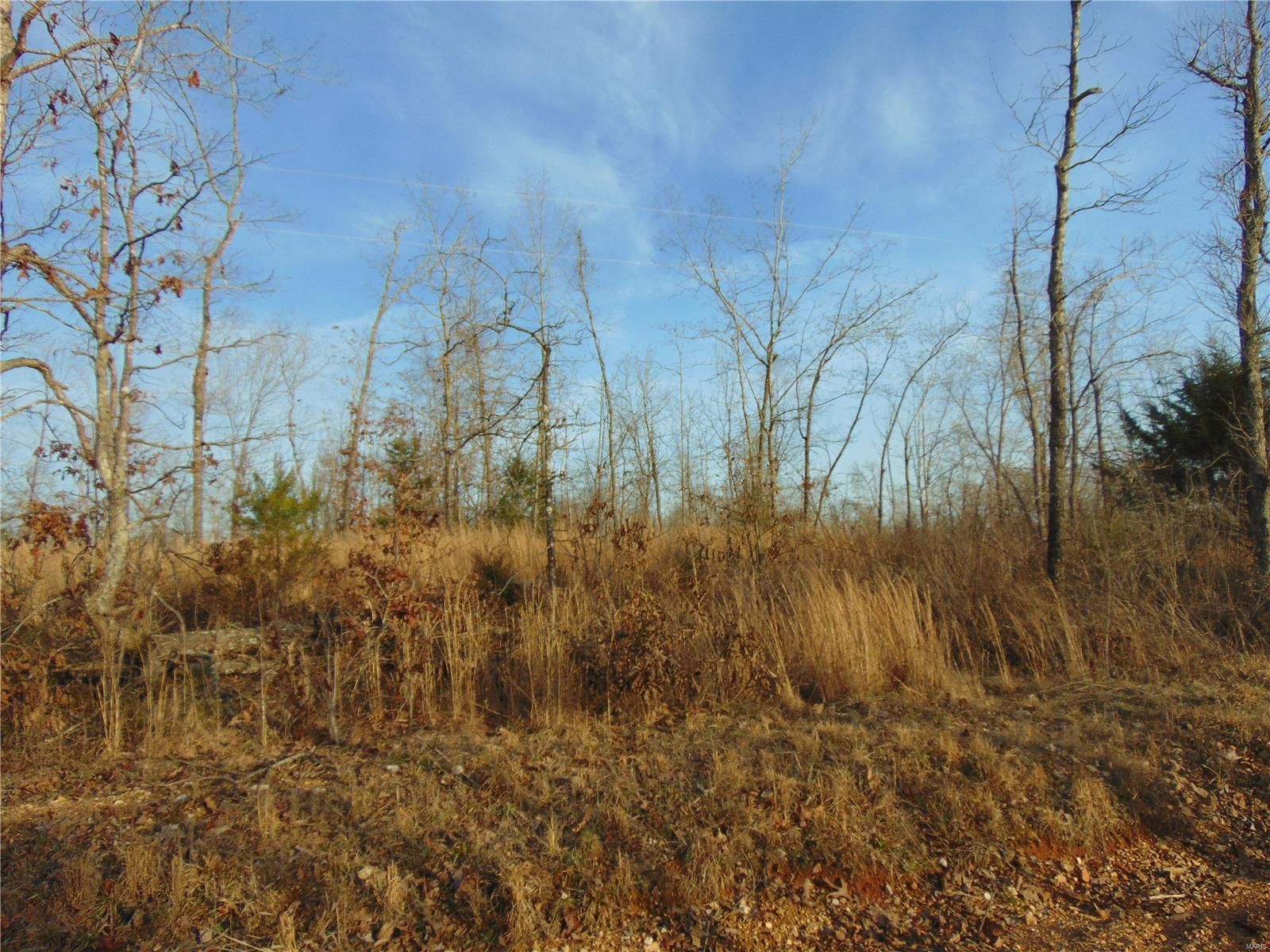 47 acres in Ripley County, Missouri