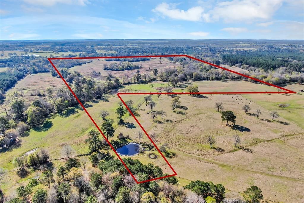 162.71 acres in Grimes County, Texas