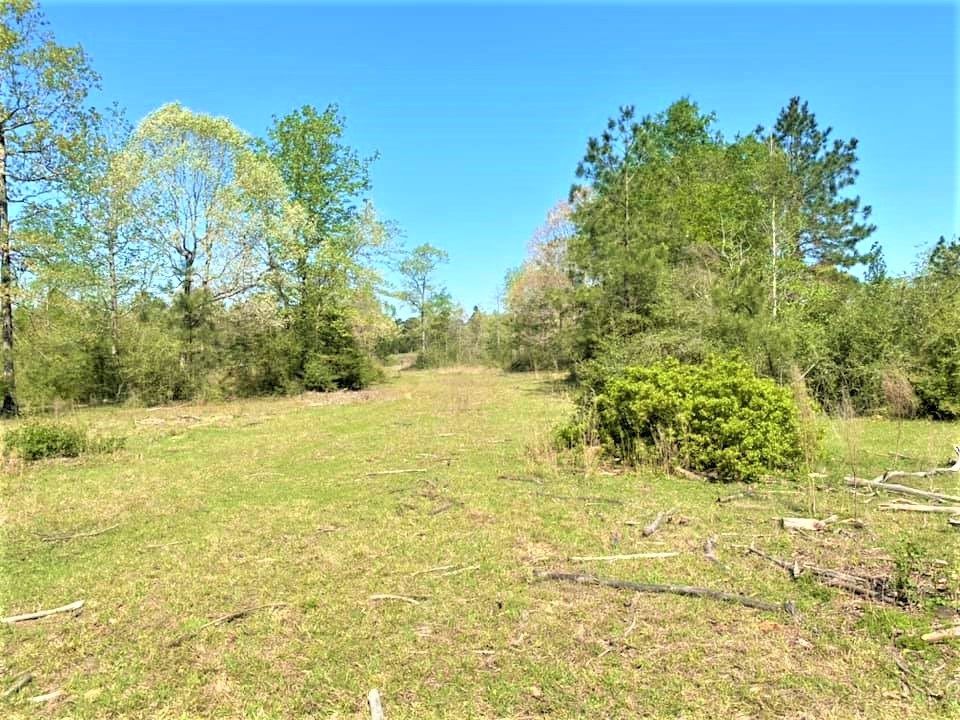 19 acres in Tyler County, Texas