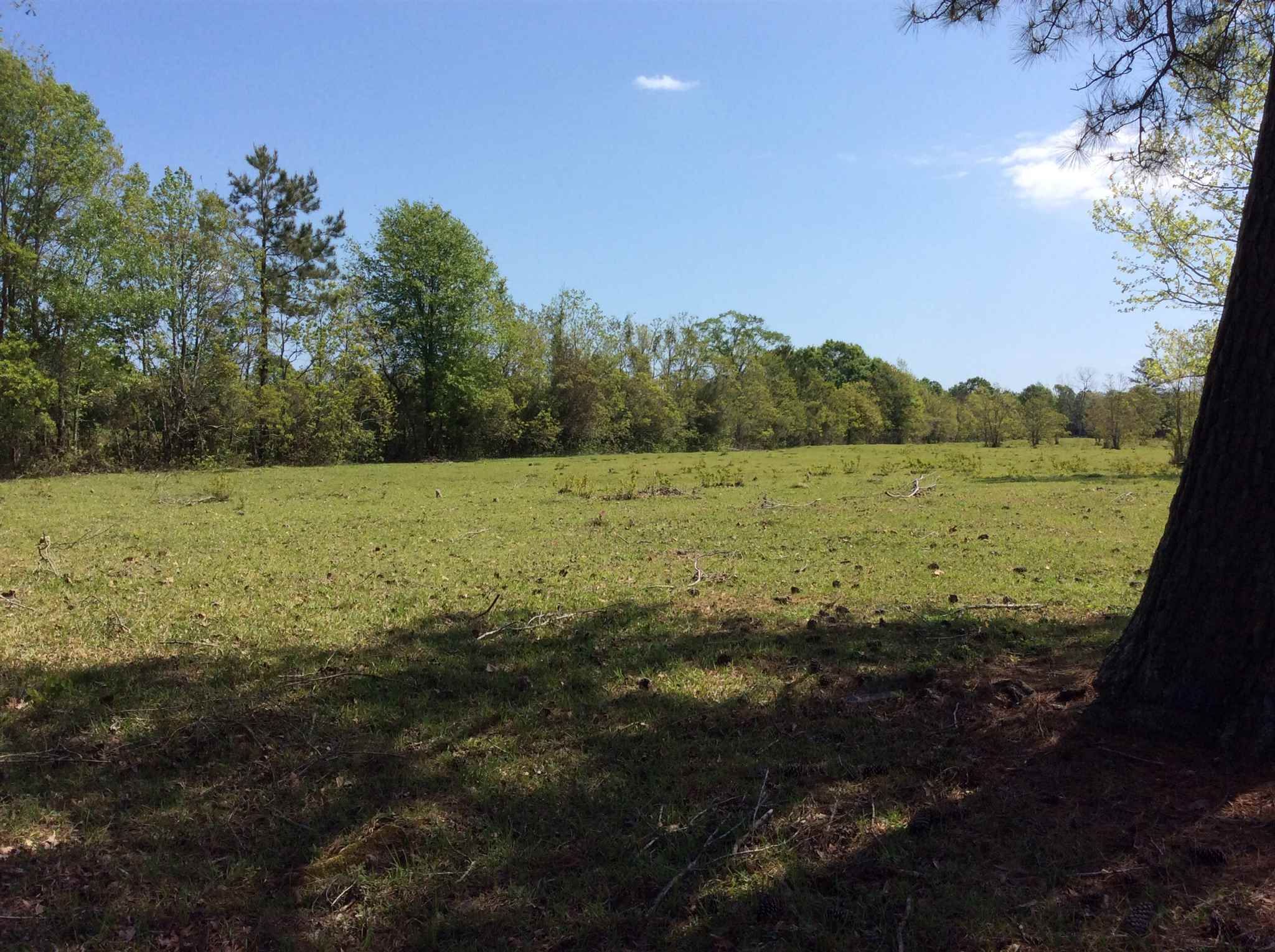 40 acres in Newton County, Texas