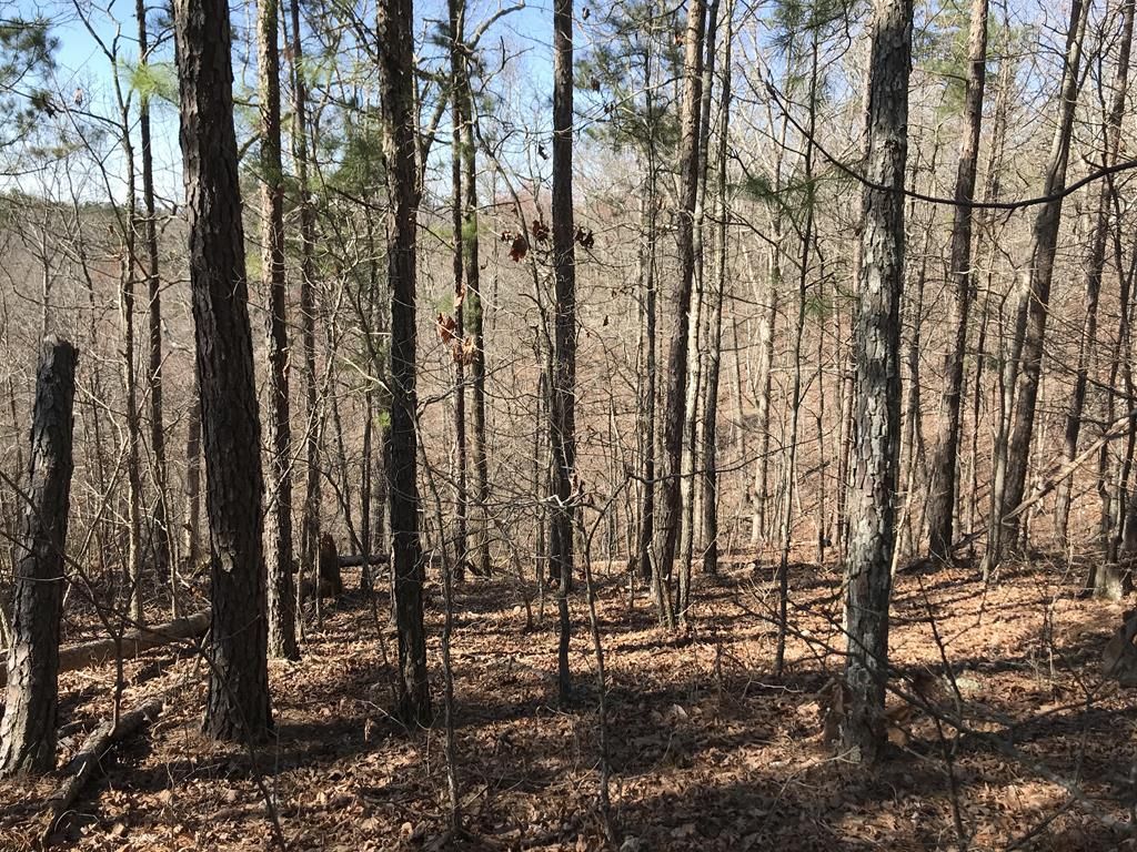 80 acres in Madison County, Missouri