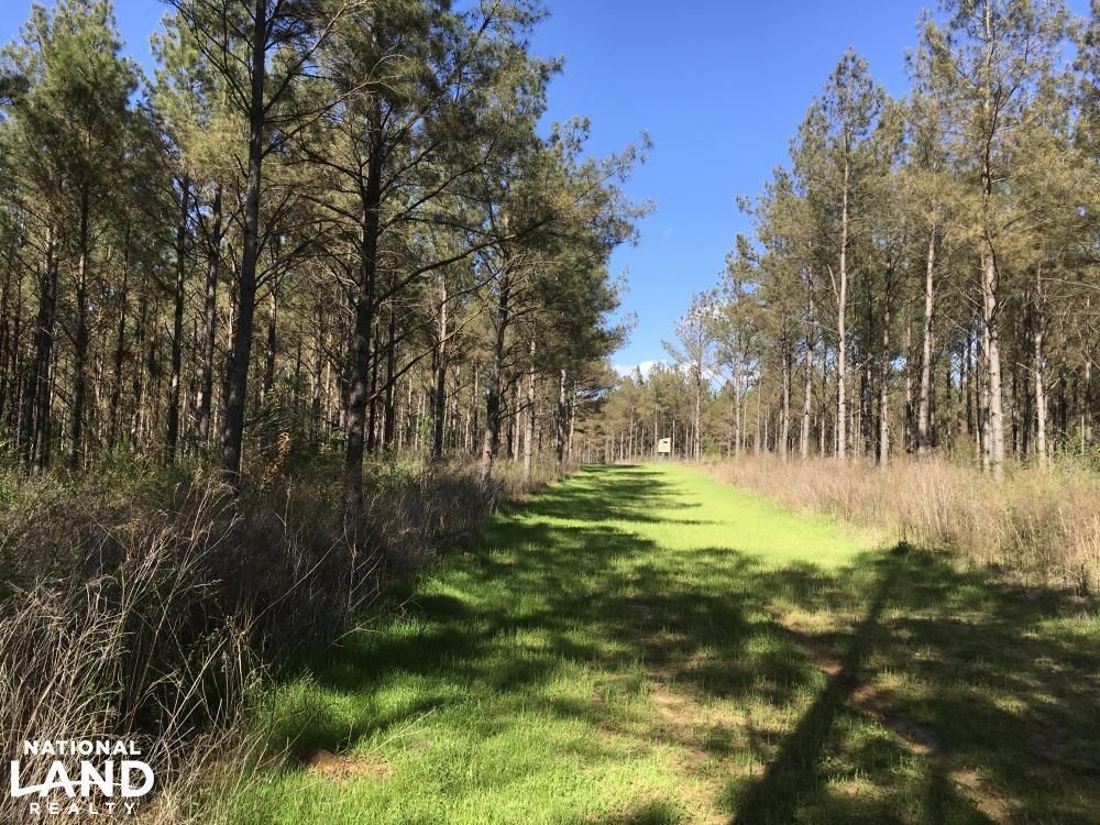 251 acres in Holmes County, Mississippi