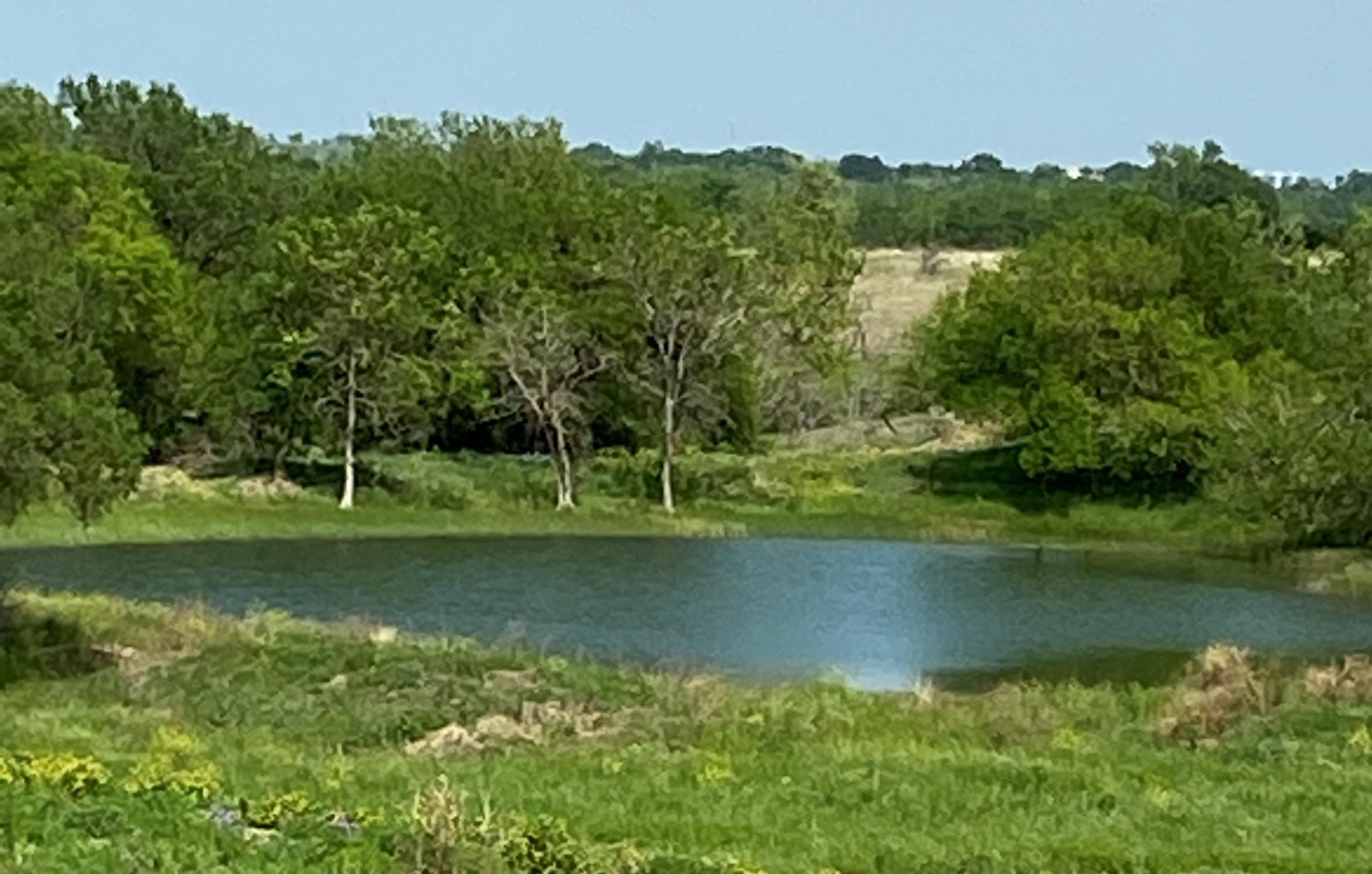 26.5 acres in Bell County, Texas