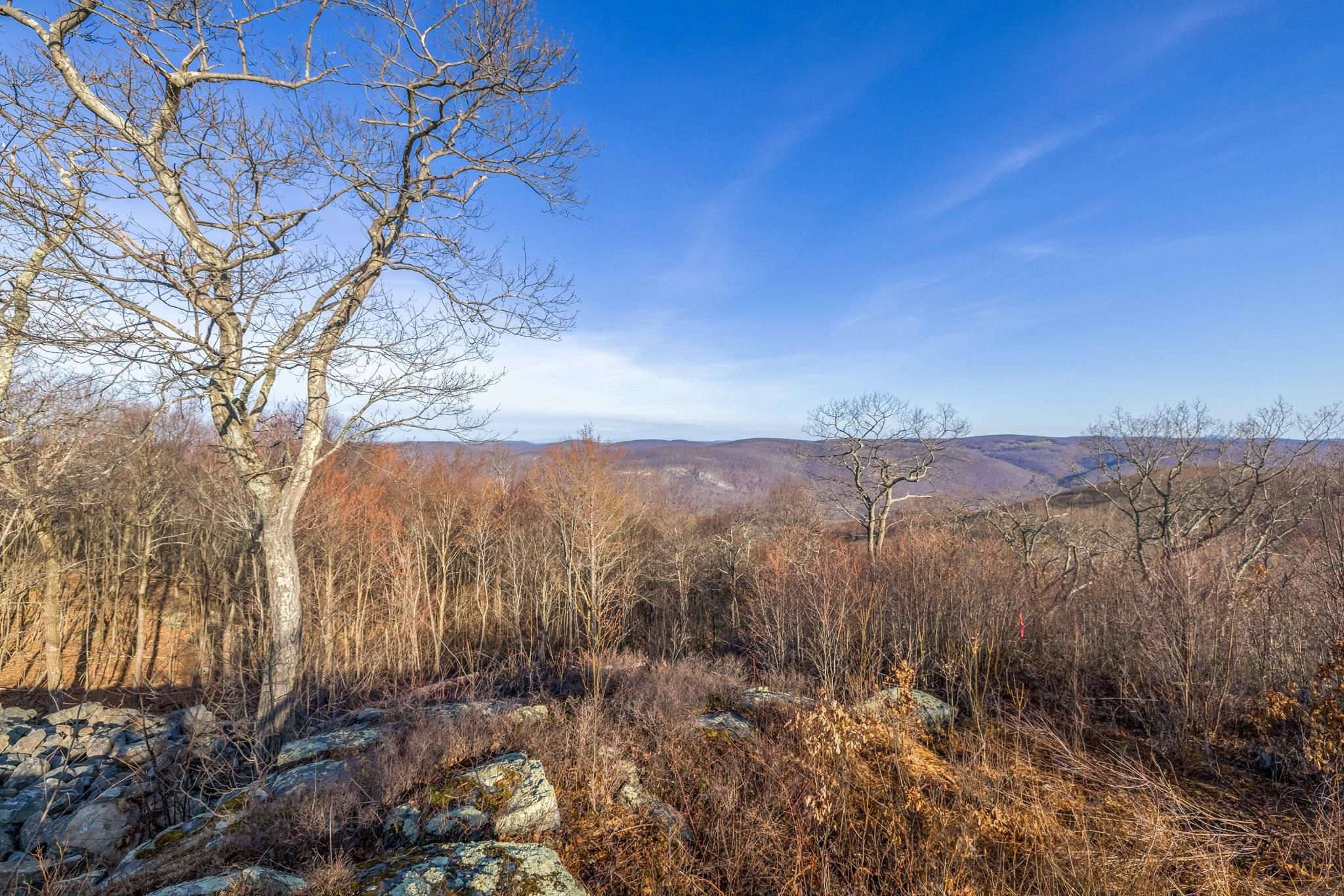 61 acres in Litchfield County, Connecticut