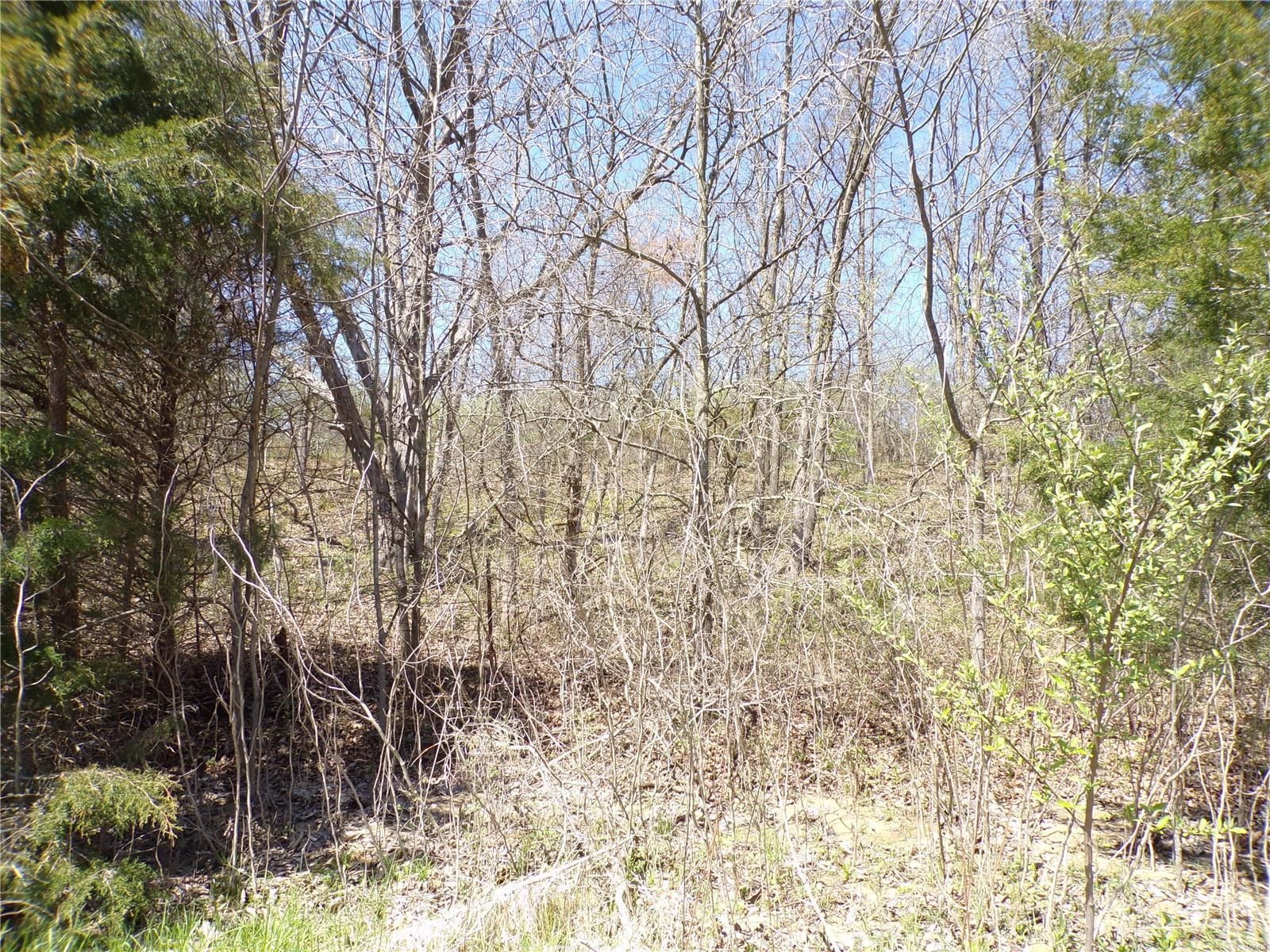 10 acres in Ralls County, Missouri