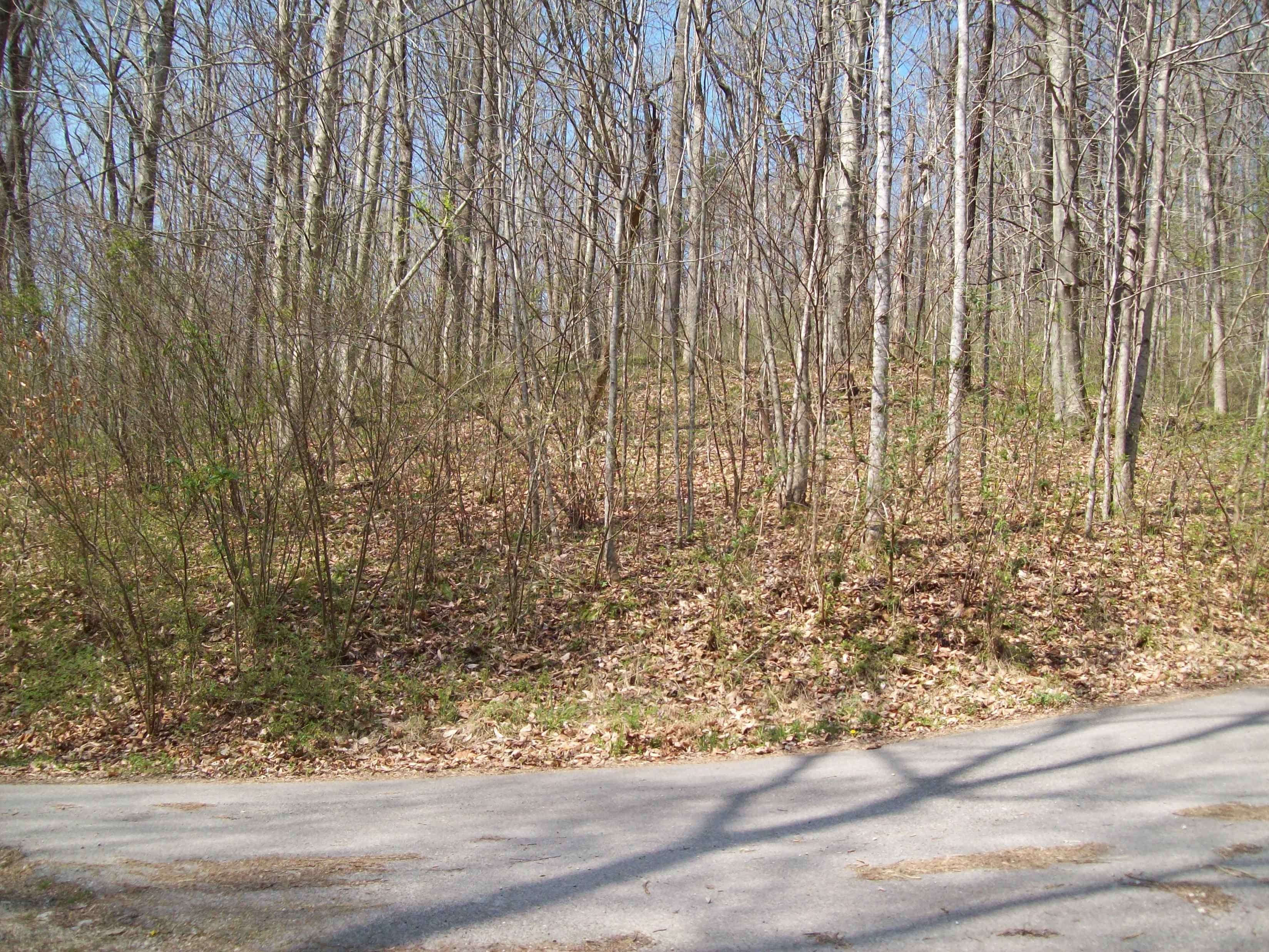 4.11 acres in Botetourt County, Virginia
