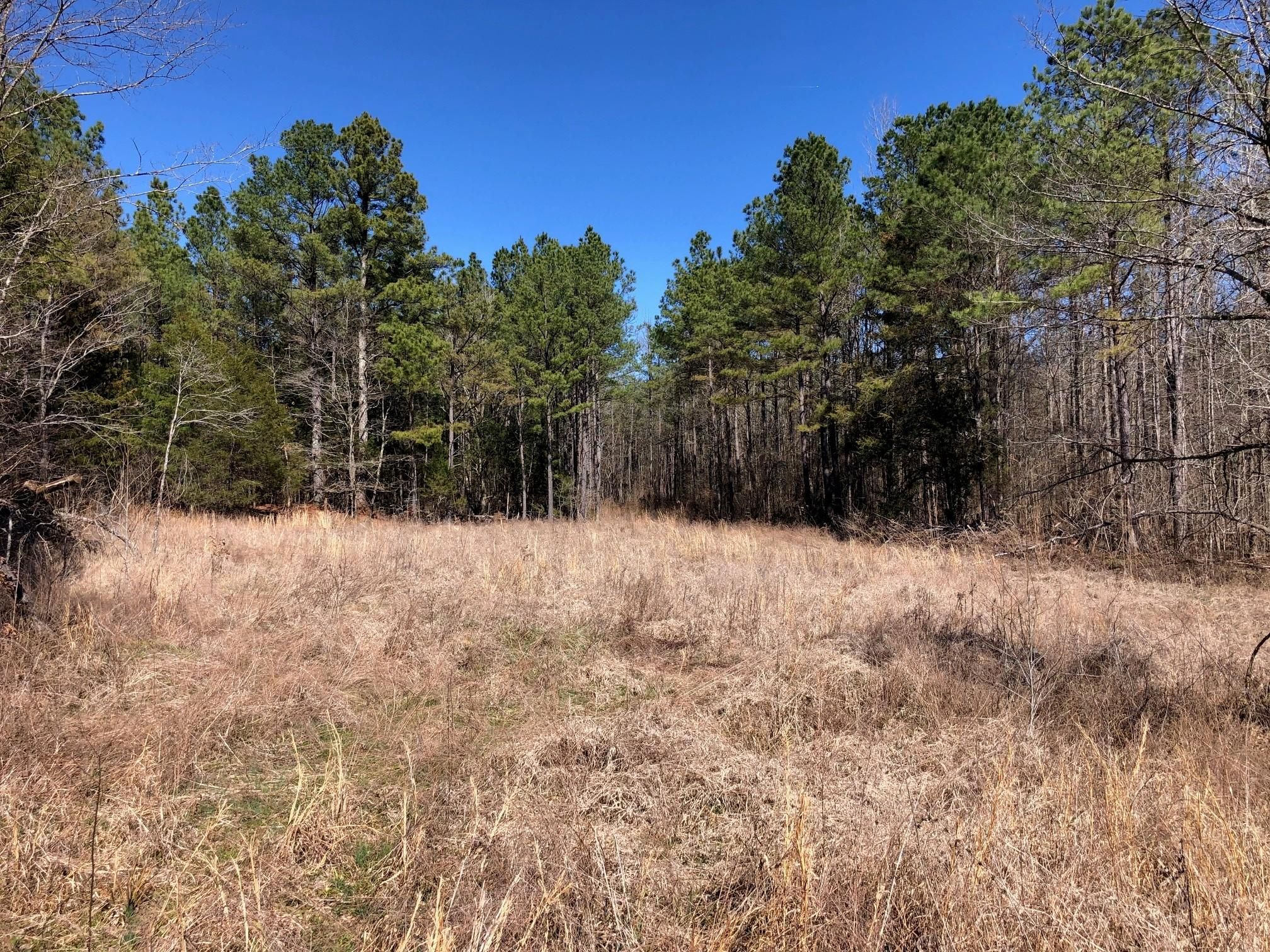 25 acres in Calhoun County, Mississippi