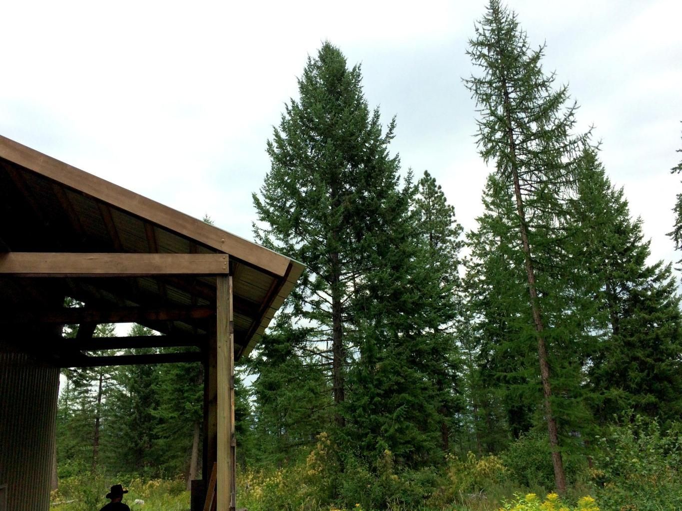 40 acres in Stevens County, Washington