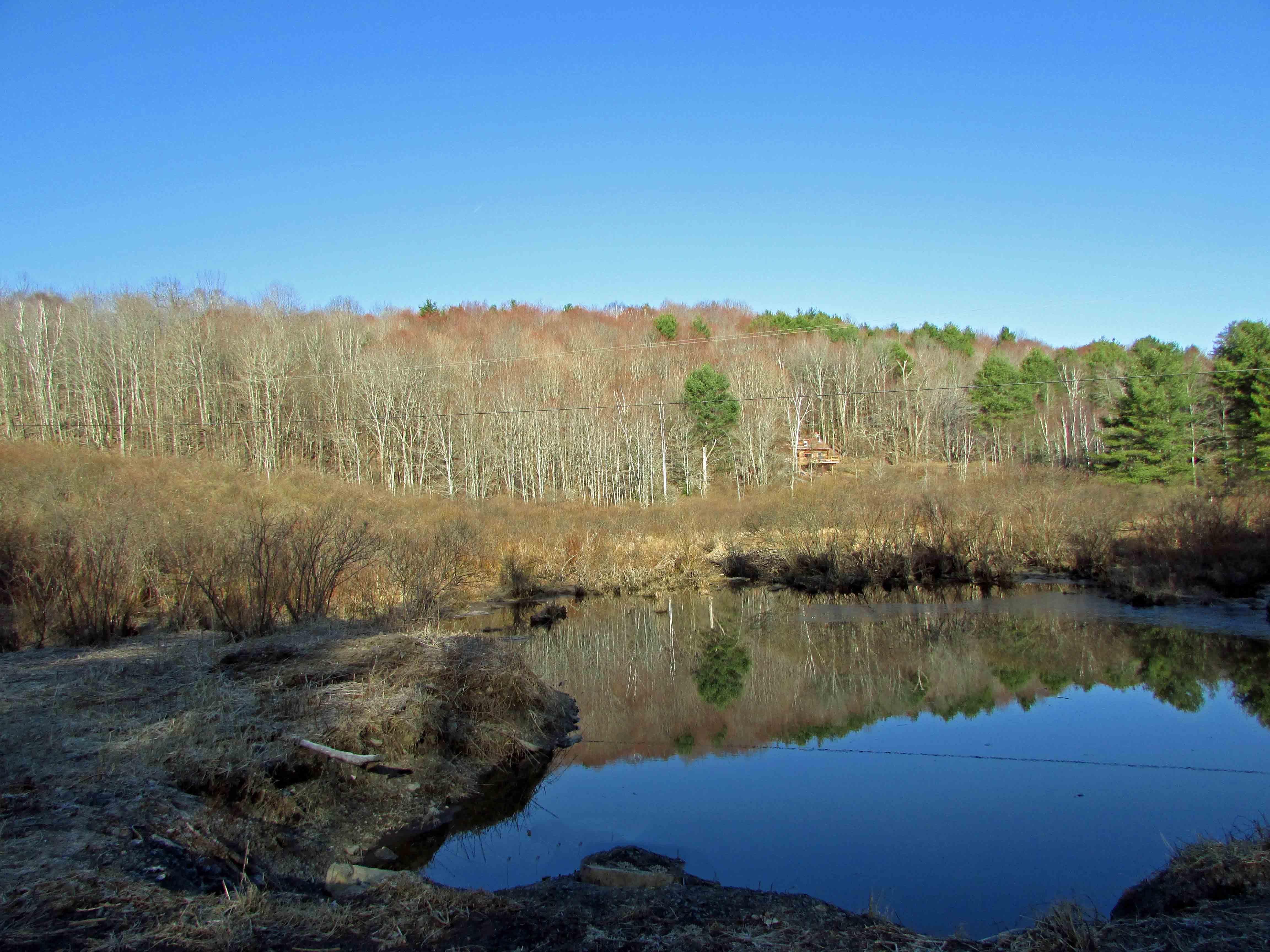 7.1 acres in Schoharie County, New York