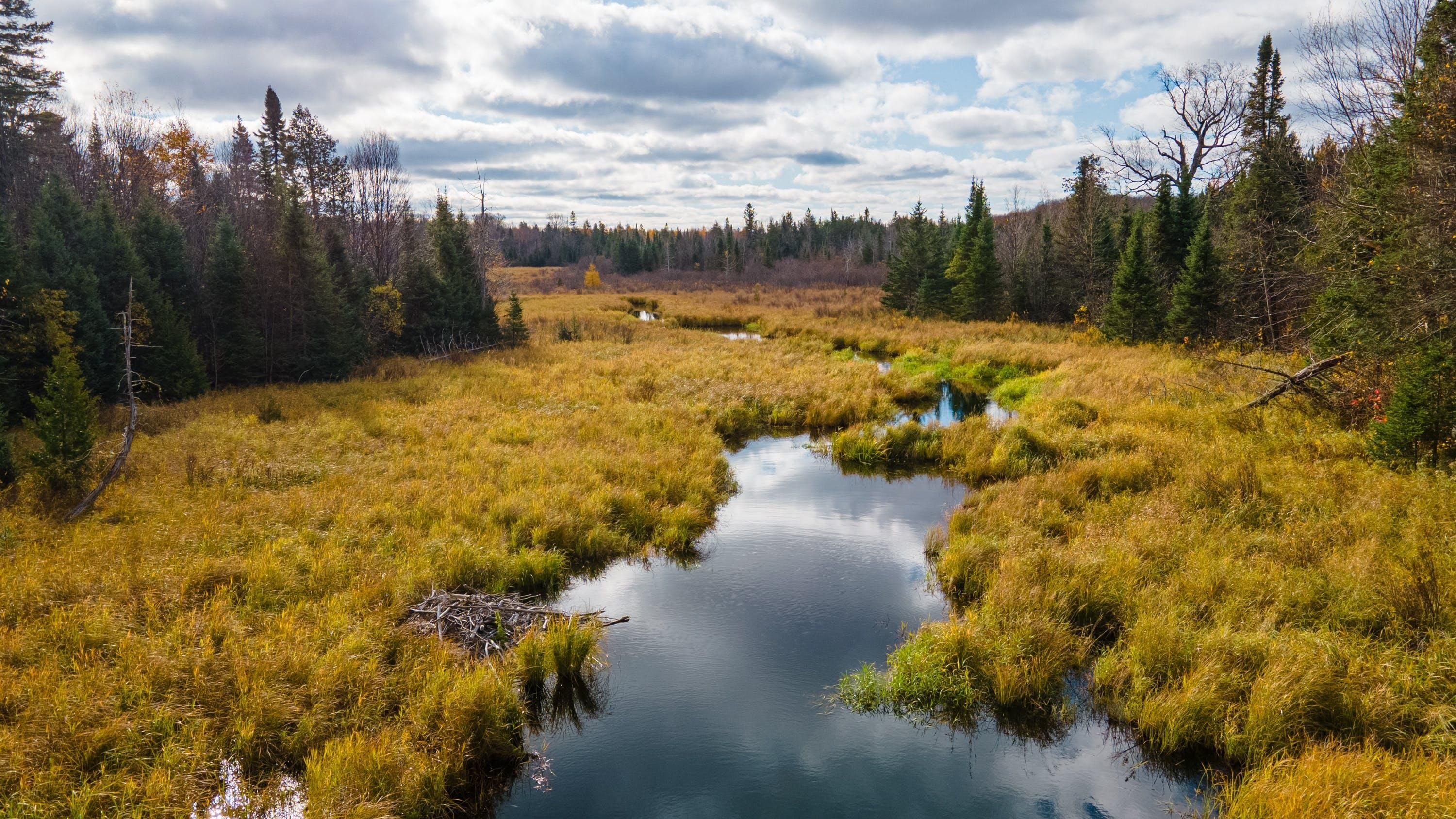 14,030 acres in Iron County, Wisconsin