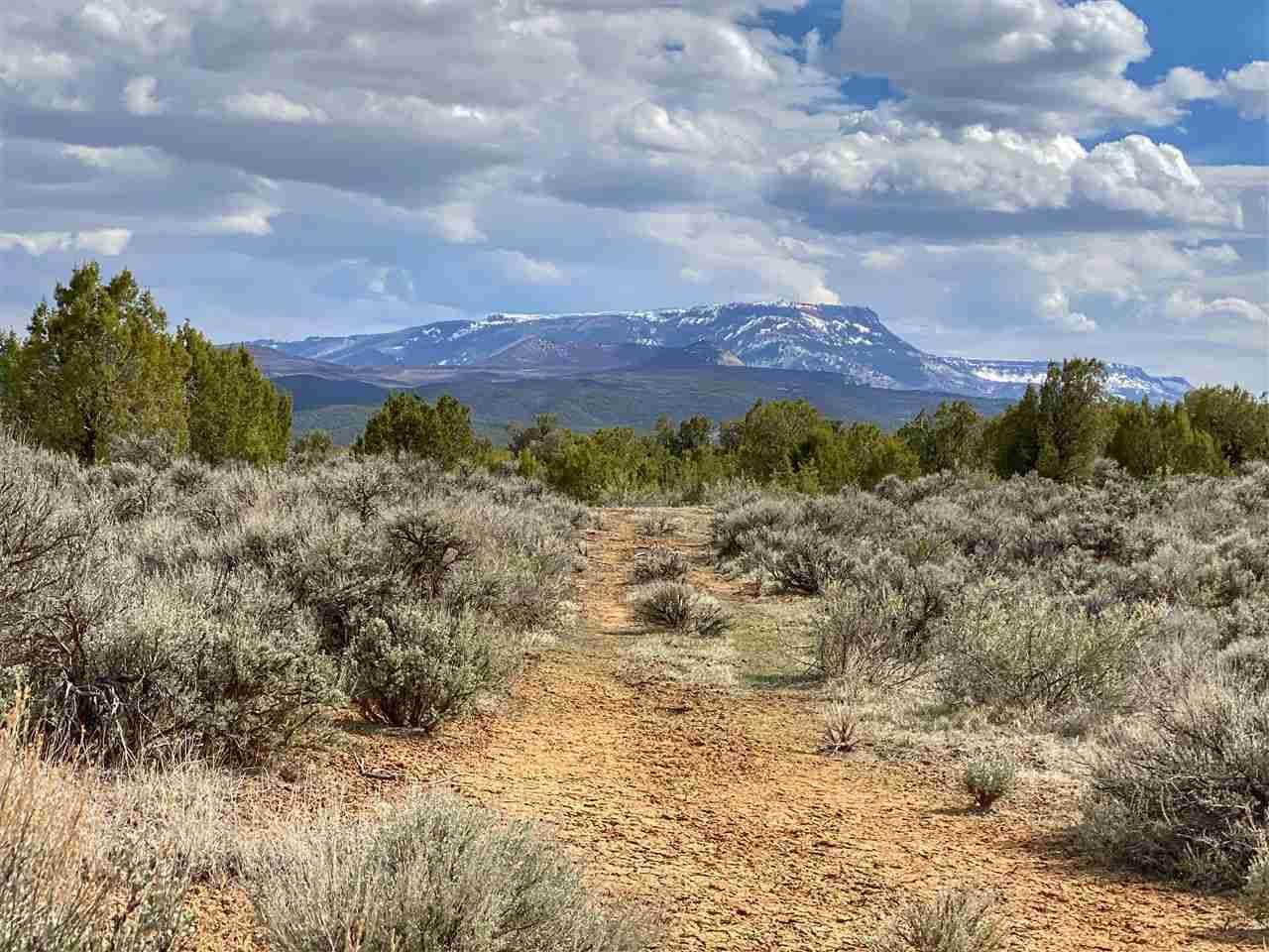 40 acres in Mesa County, Colorado