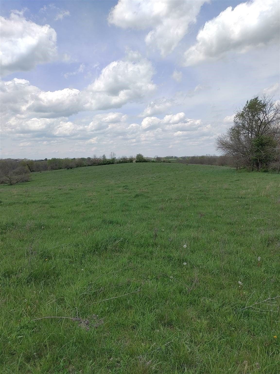 191 acres in Harrison County, Kentucky