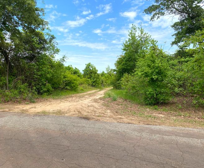 28 acres in Marion County, Texas