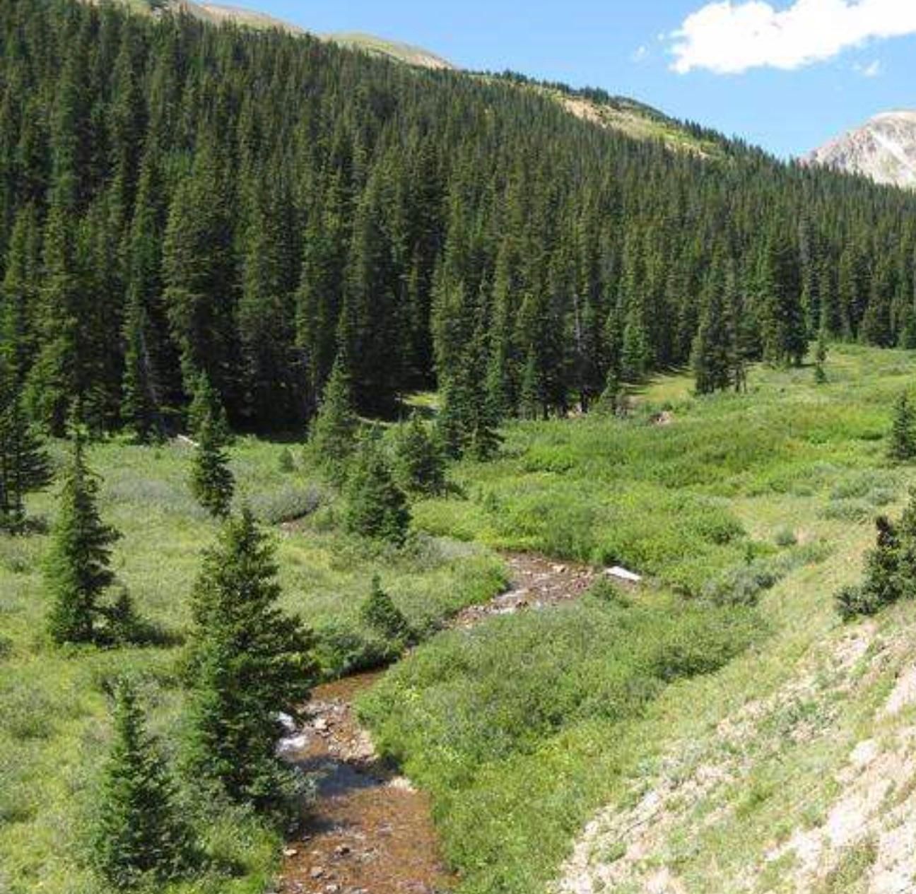 40 acres in Eagle County, Colorado