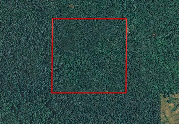 40 acres in Simpson County, Mississippi