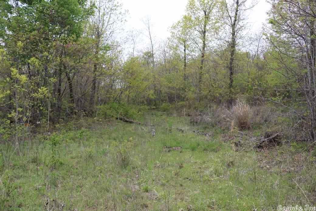 80 acres in Stone County, Arkansas