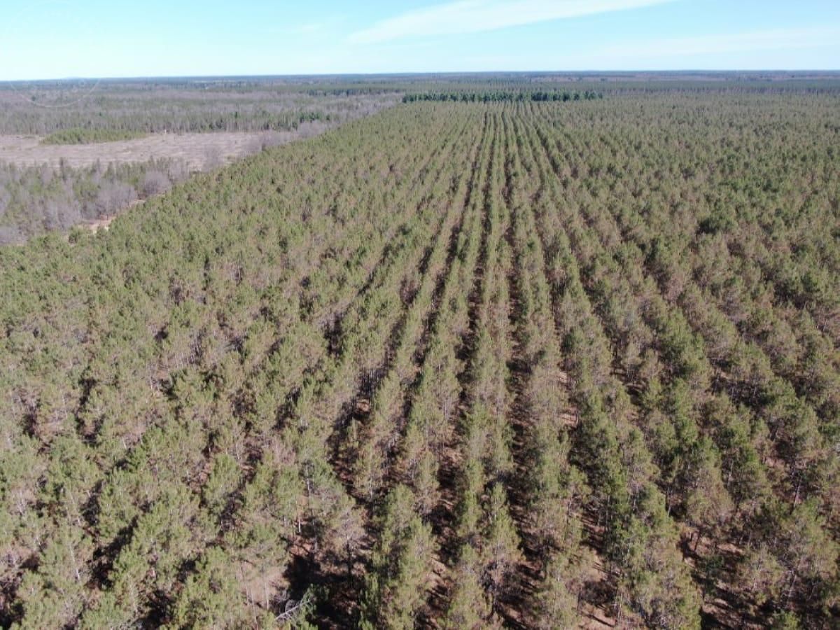 80 acres in Adams County, Wisconsin