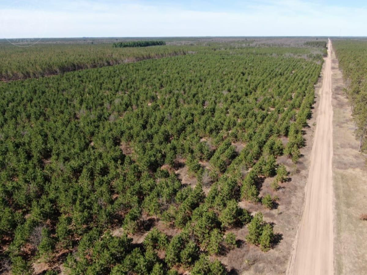 90 acres in Adams County, Wisconsin