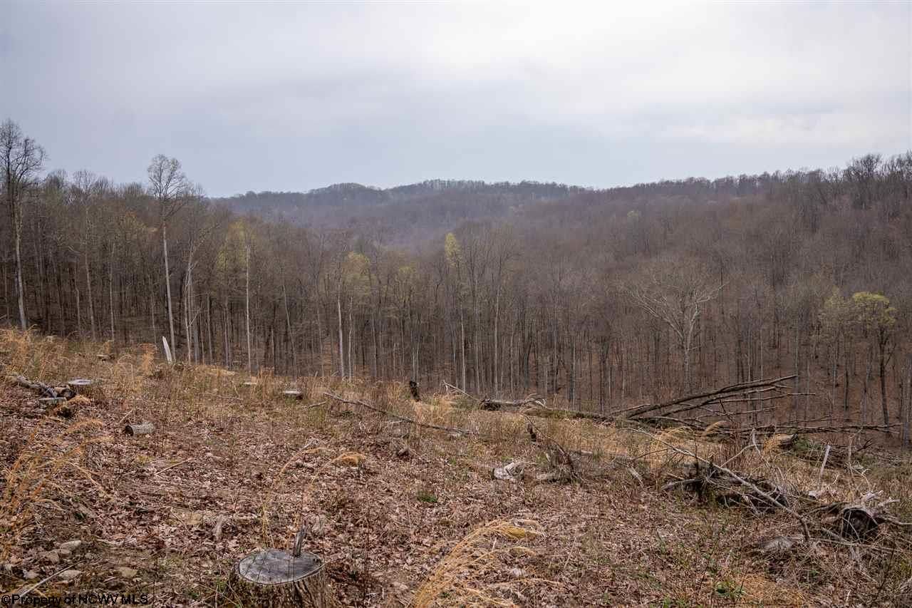 10.95 acres in Upshur County, West Virginia