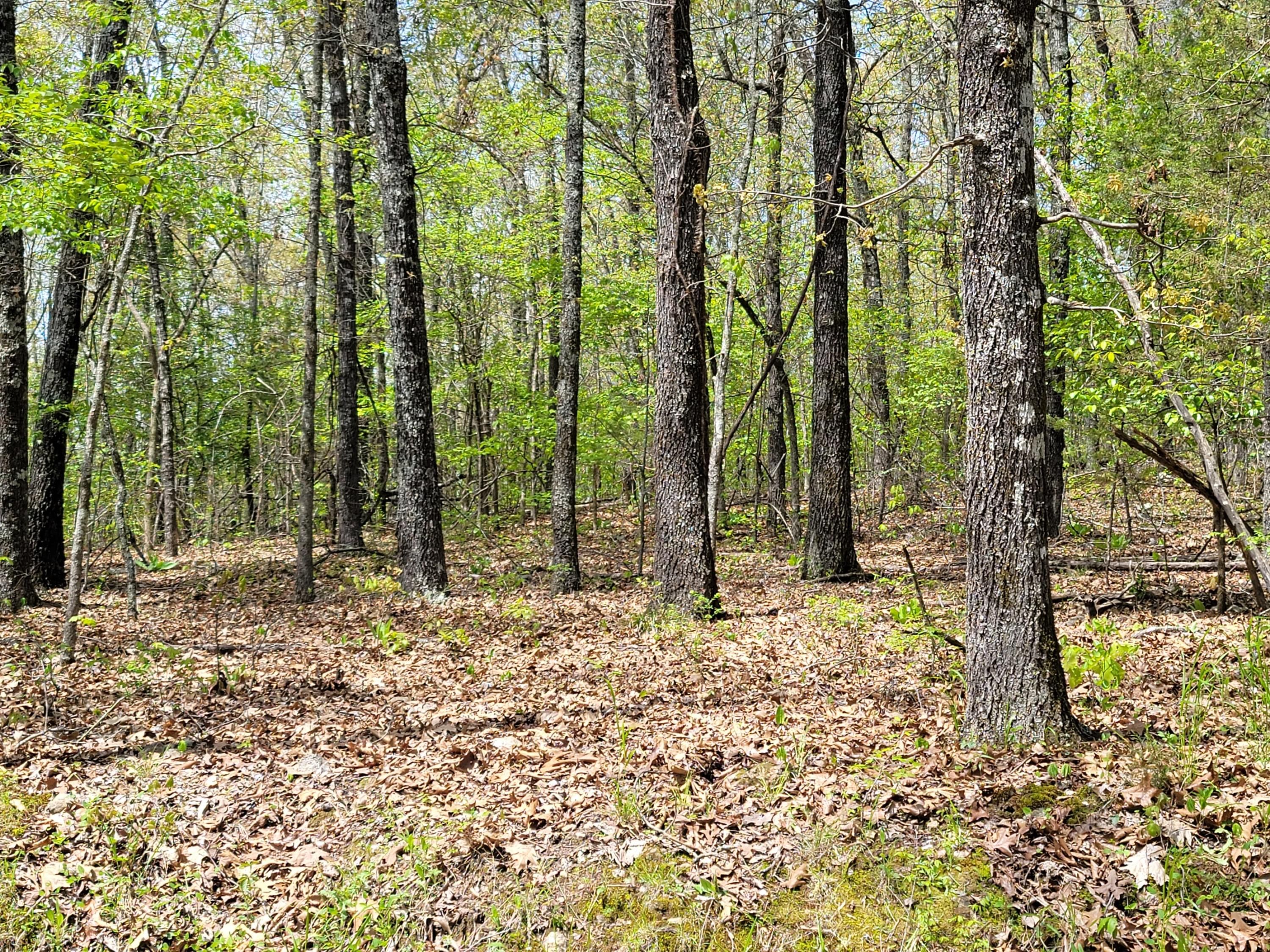 8 acres in Newton County, Arkansas