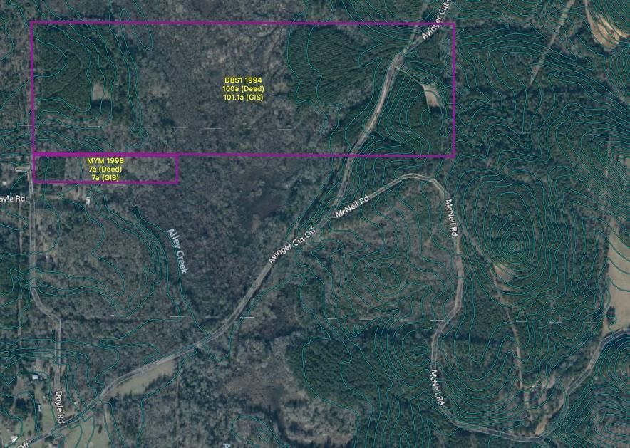 Avinger CutOff Road, Avinger, TX 75630