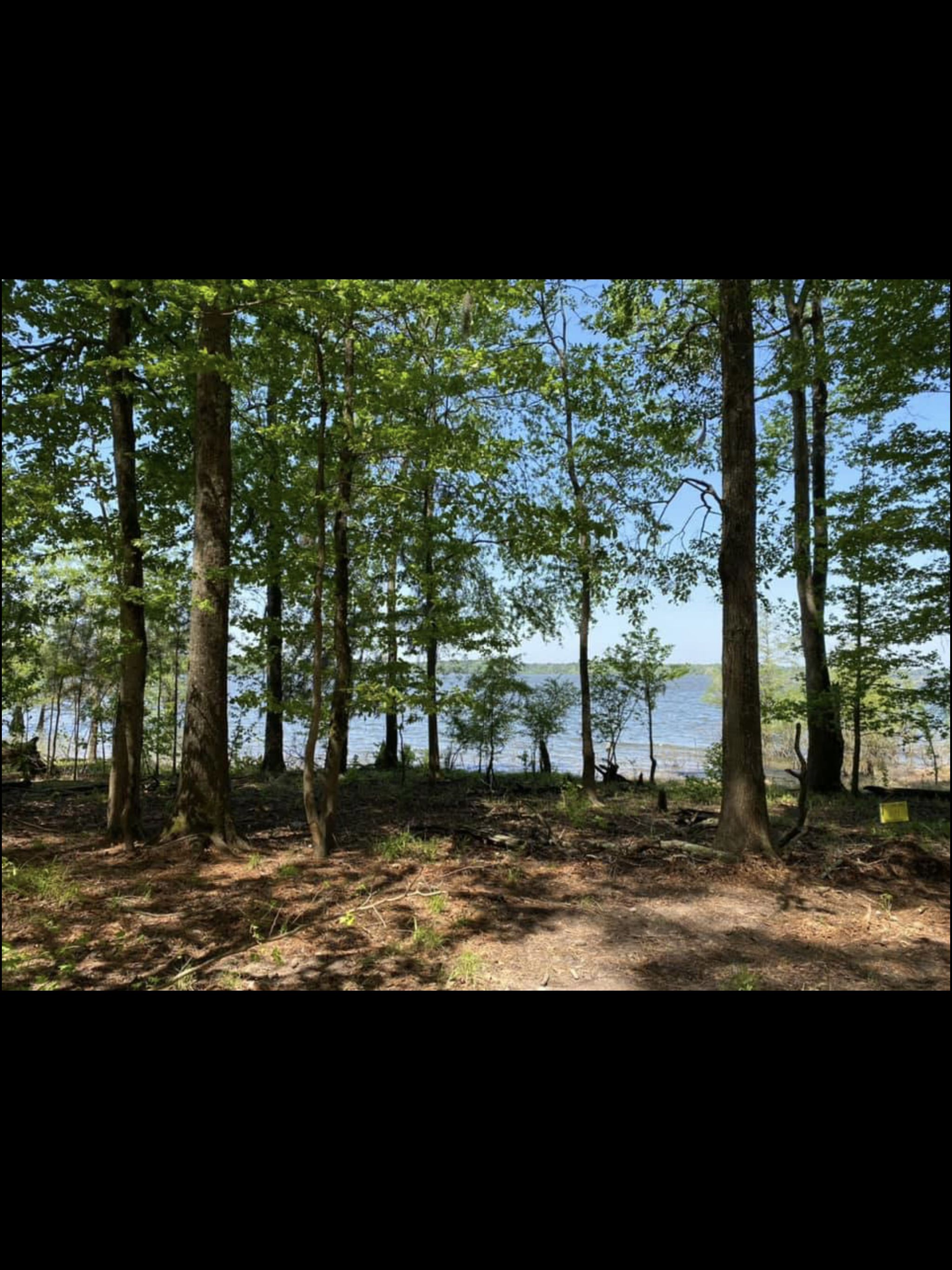 7.6 acres in San Augustine County, Texas