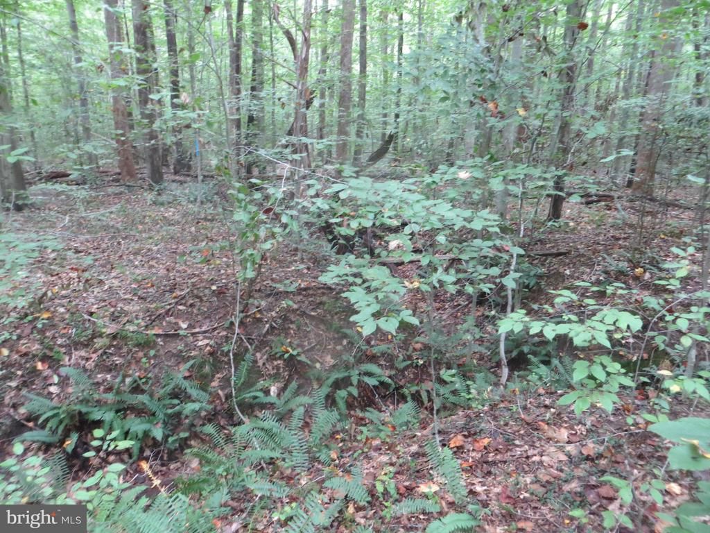 5 acres in Spotsylvania County, Virginia