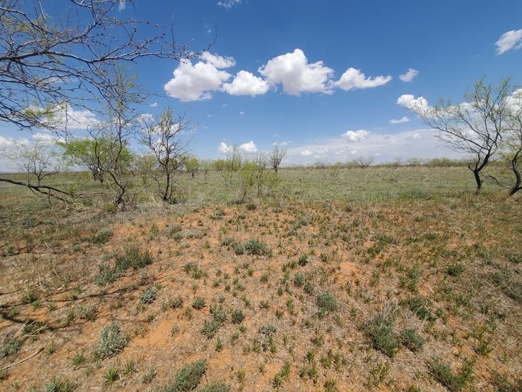 80 acres in Fisher County, Texas