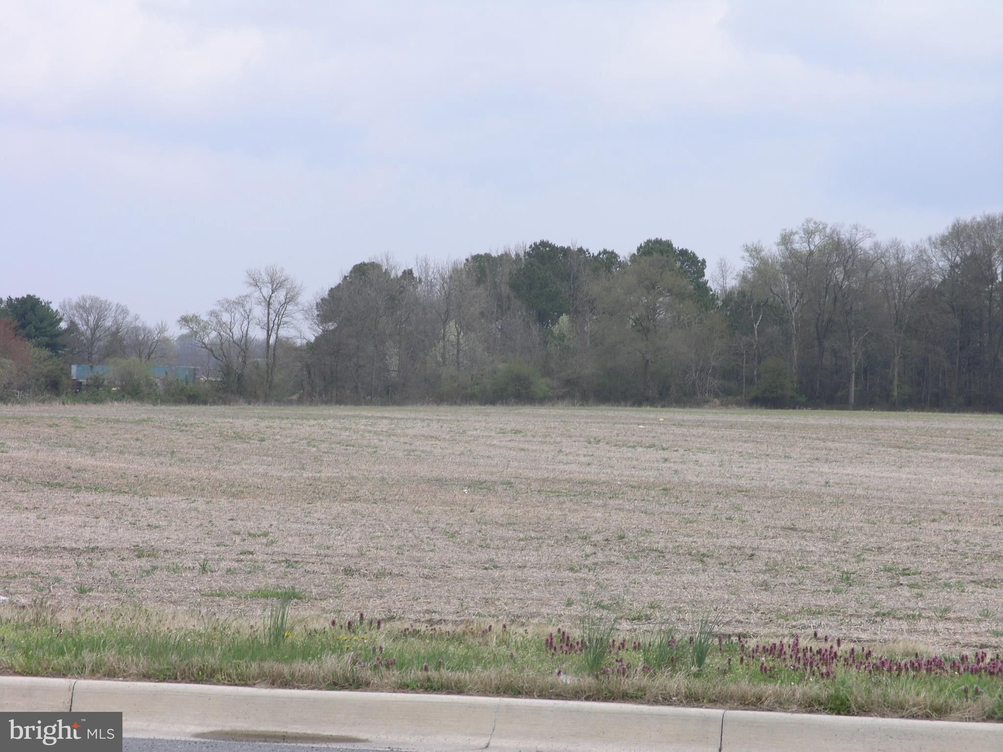 Sussex County Delaware Property Search - fqbi8ng