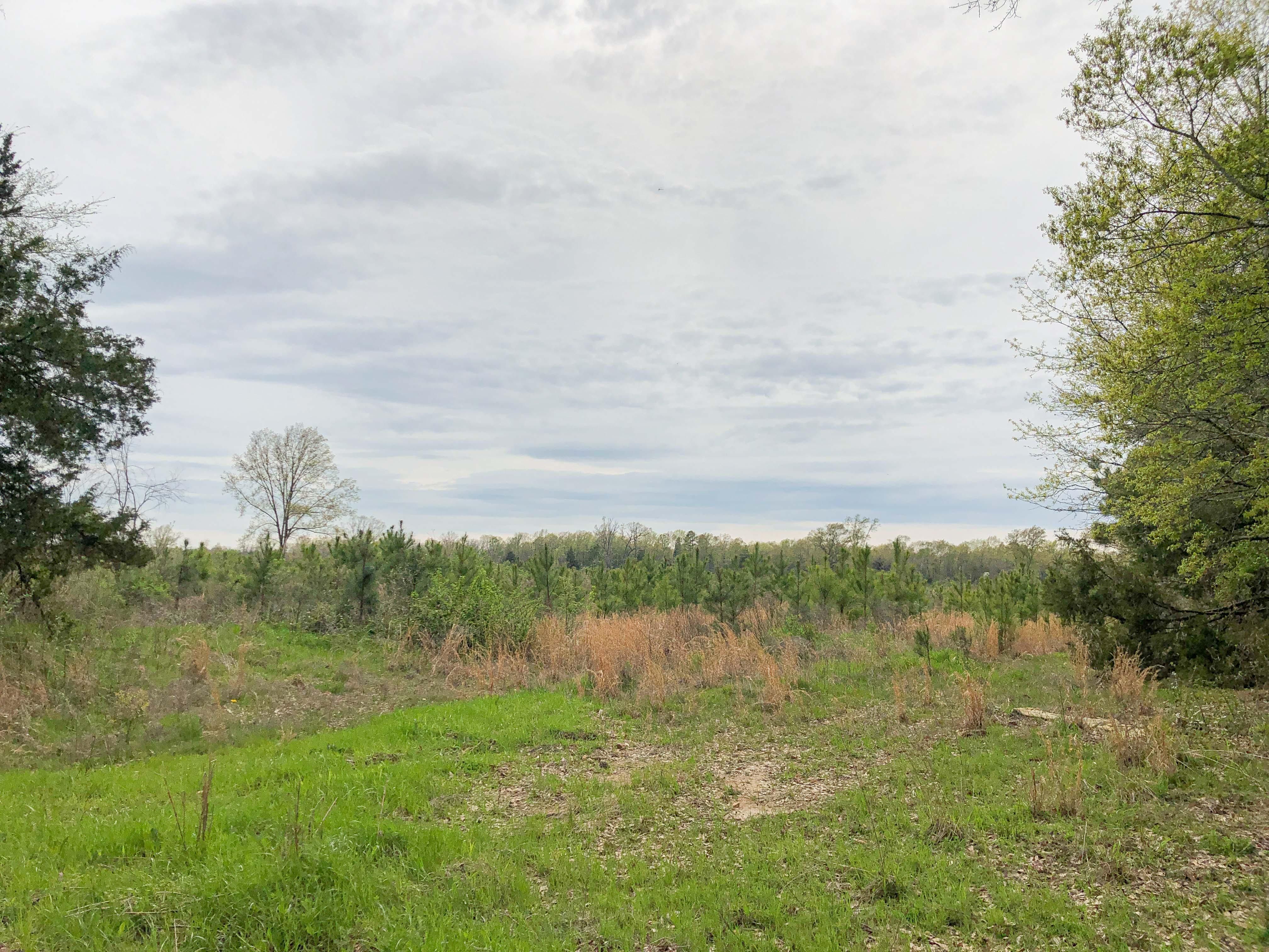33 acres in Bowie County, Texas