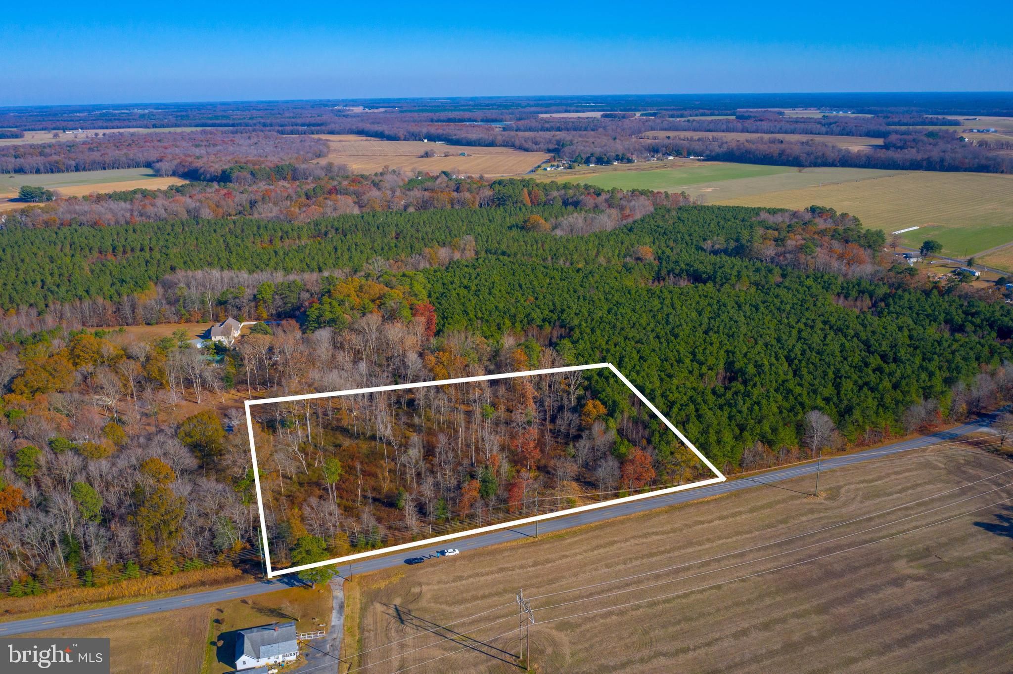 3 acres in Caroline County, Maryland
