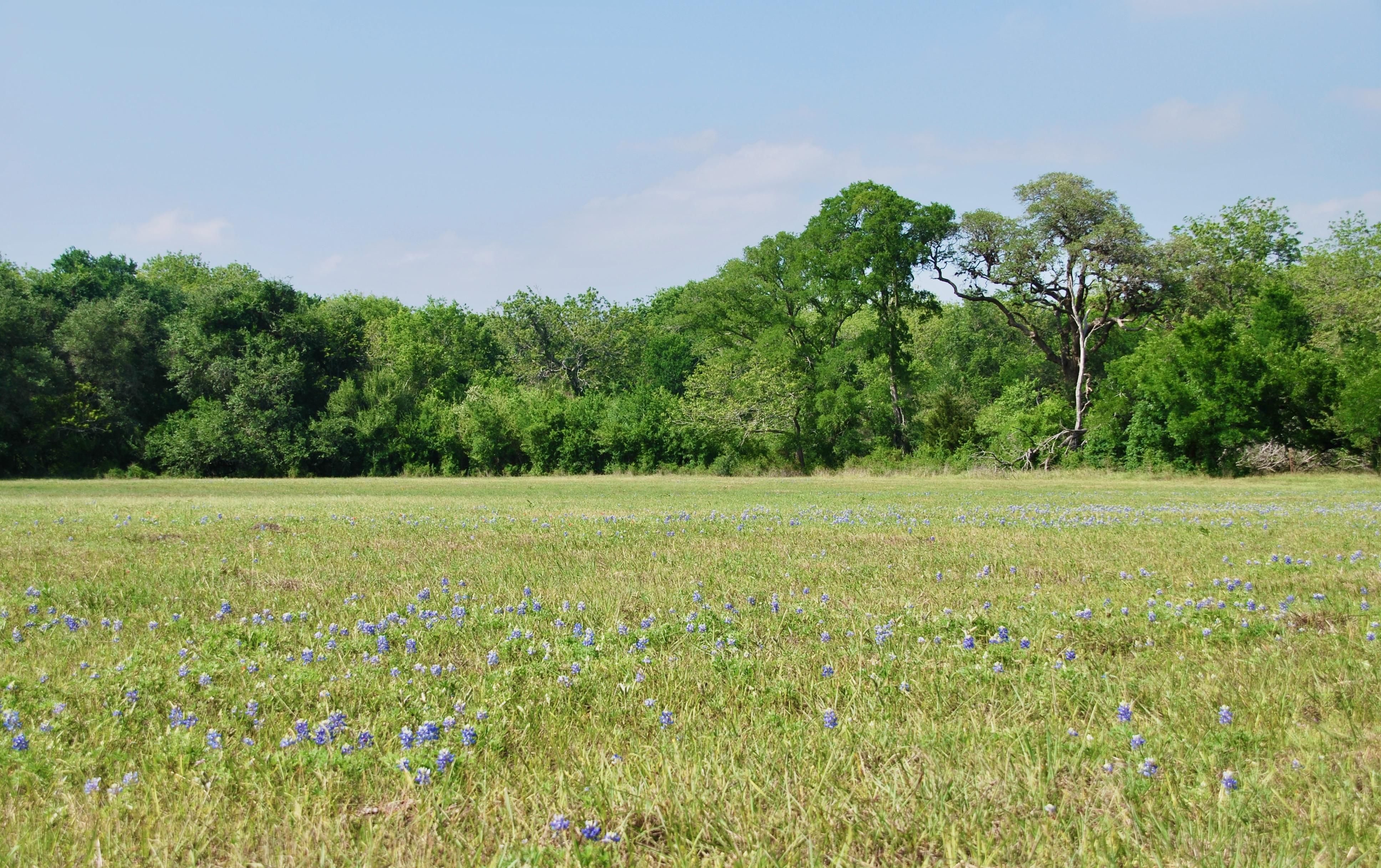 26 acres in Lavaca County, Texas