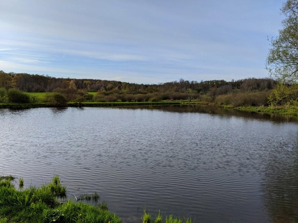 Bliven Coye Hill Rd, Smyrna, NY 13464