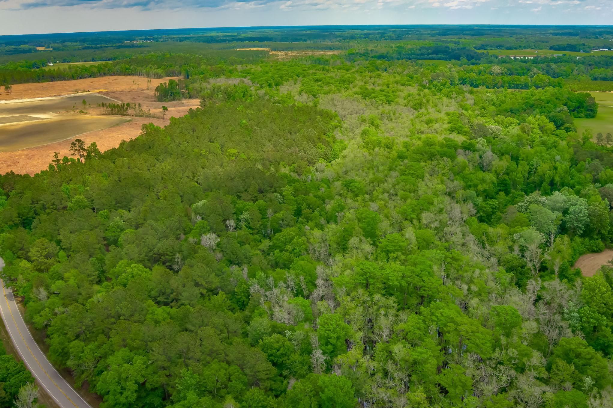 93-acres-in-horry-county-south-carolina