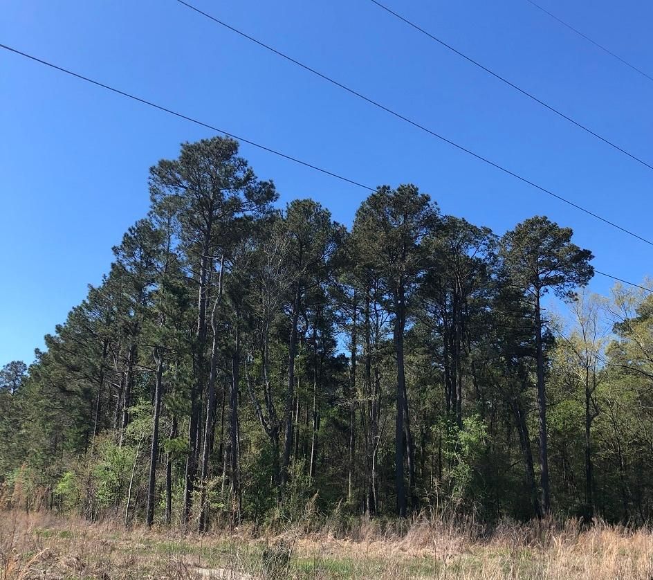 40 acres in Monticello, AR, 71655