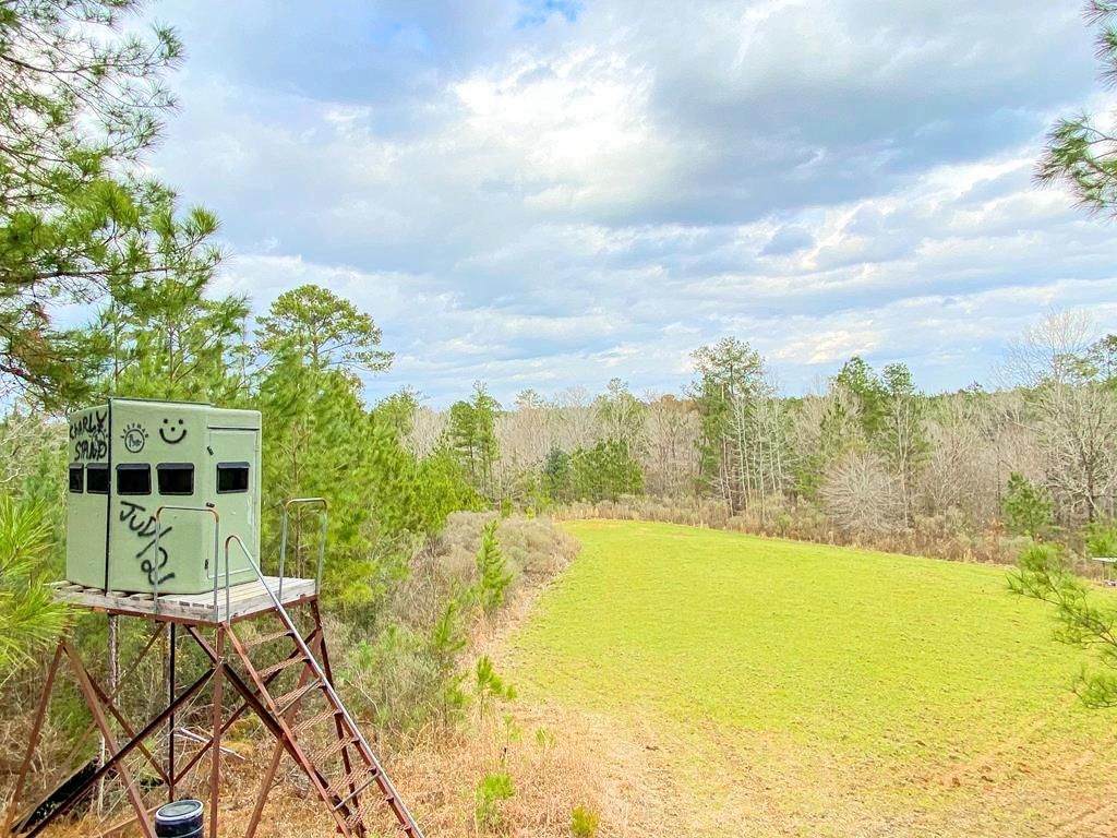 402 acres in Adams County, Mississippi
