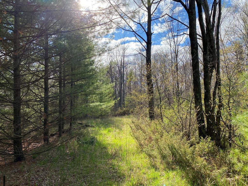 7 acres in Door County, Wisconsin