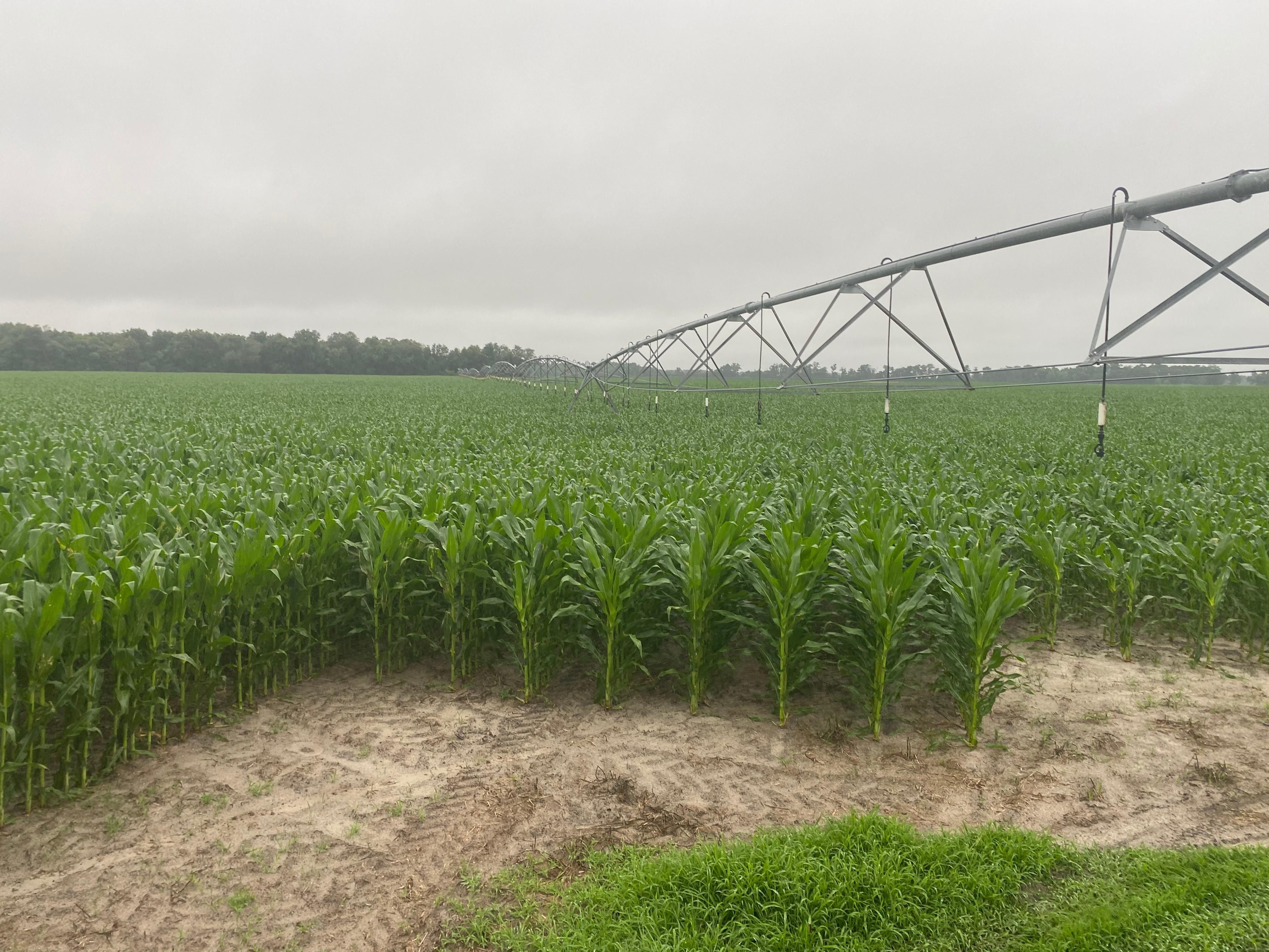 652 acres in Gilchrist County, Florida